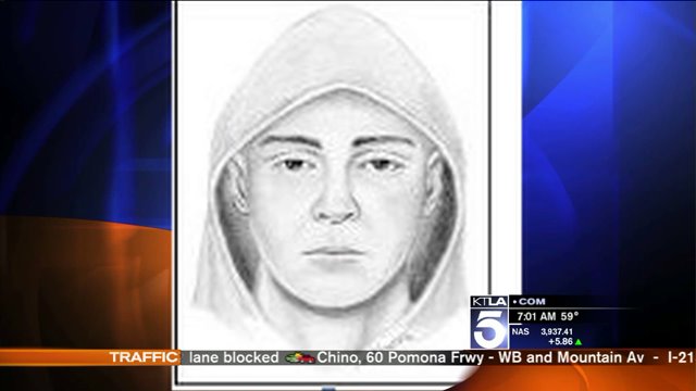 Police Release Sketch of Possible Suspect in Gatto Slaying