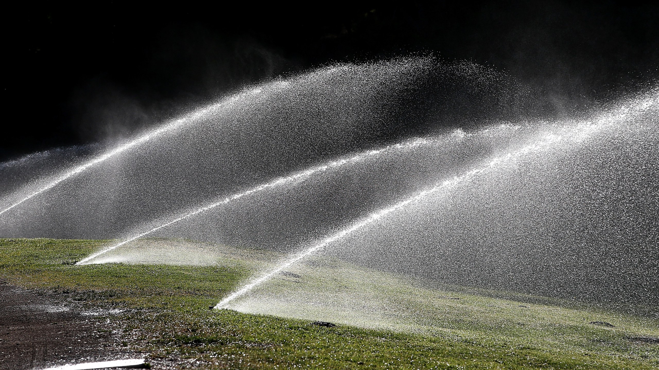 A file photo shows sprinklers watering the lawn in Golden Gate Park on April 2, 2015 in San Francisco. (Justin Sullivan/Getty Images)