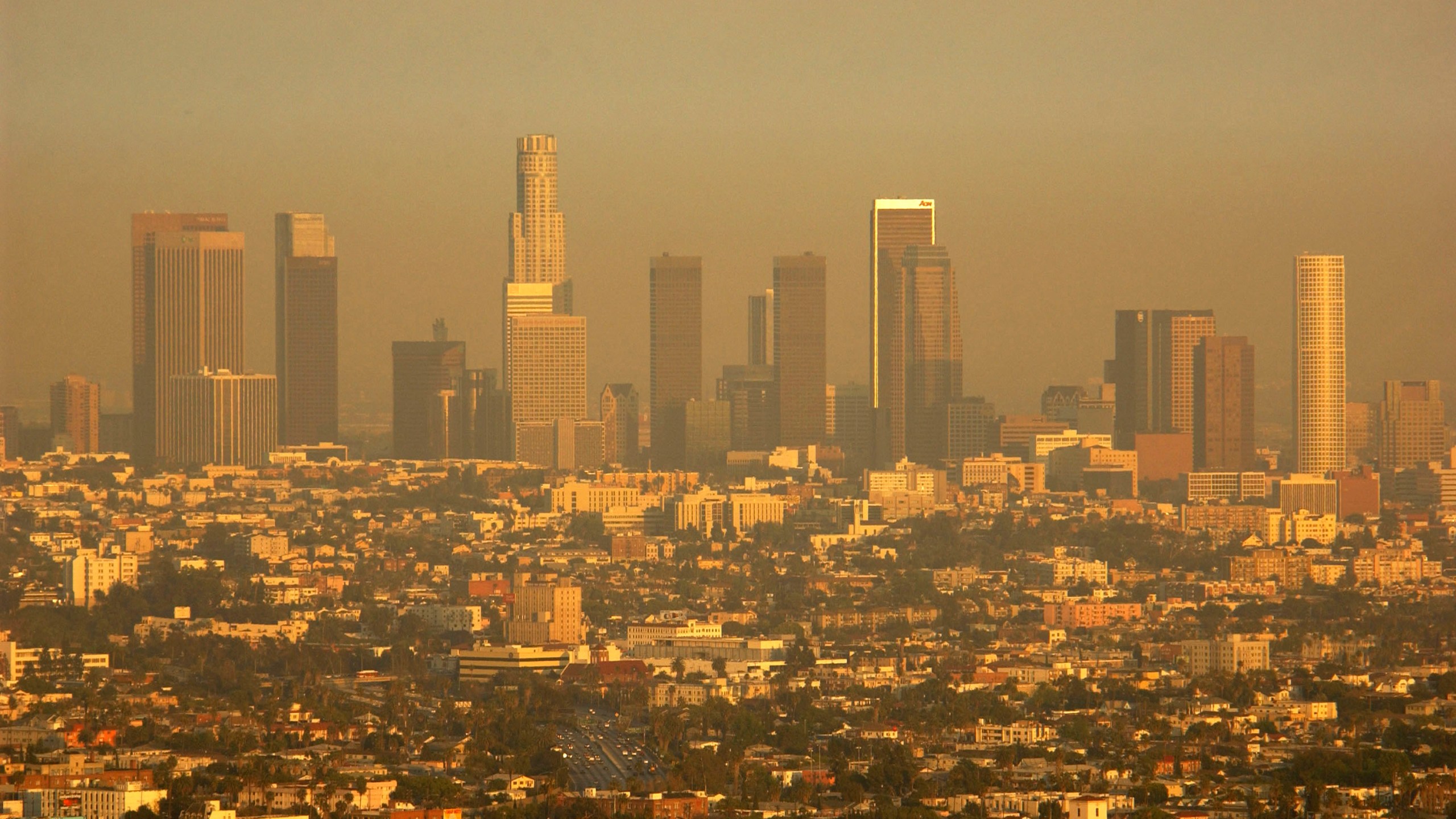 Smog fouls the air on May 21, 2003 in Los Angeles, California. (Credit: David McNew/Getty Images)