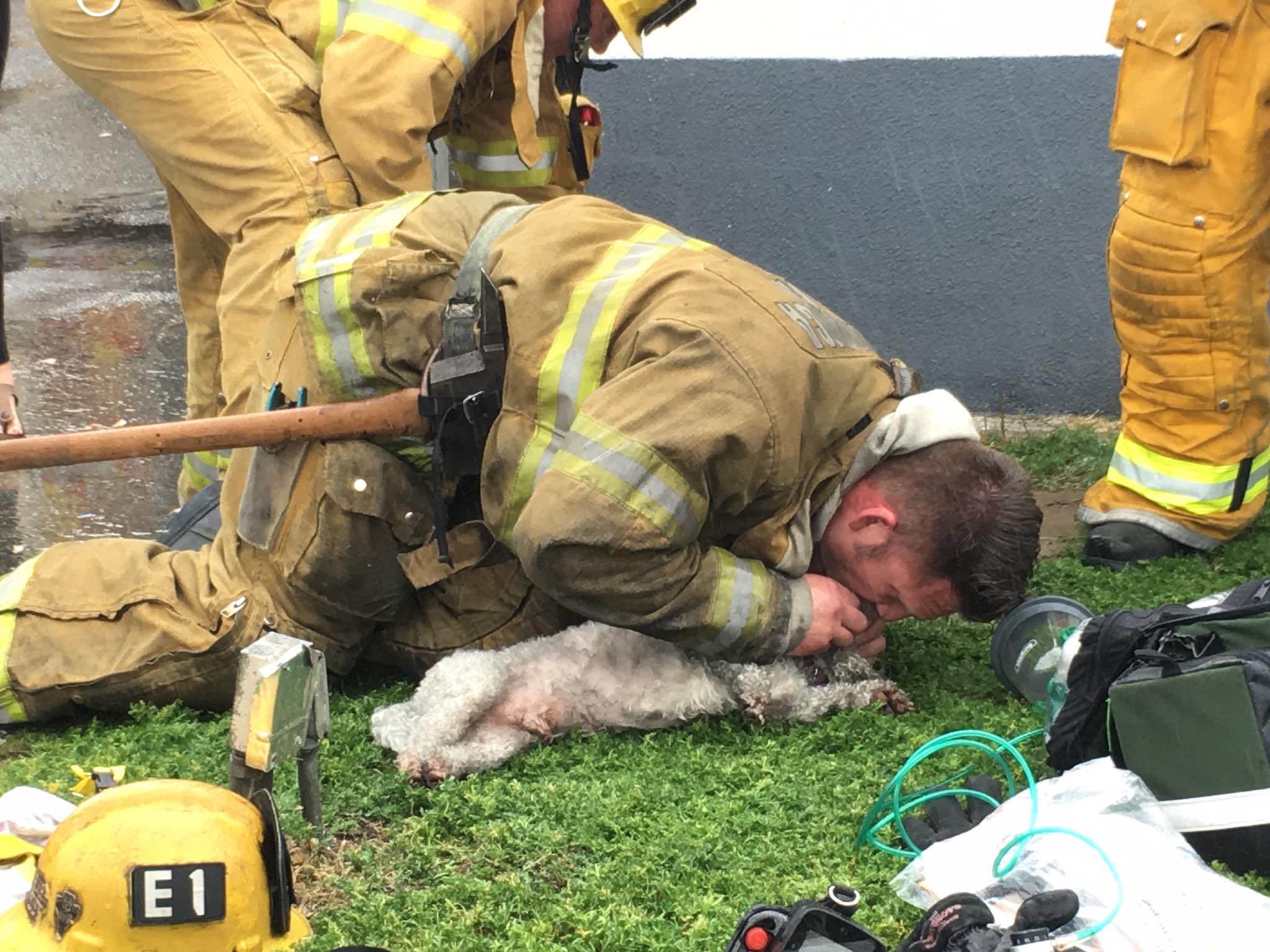 Dog receives mouth-to-snout emergency treatment in a KTLA file photo.