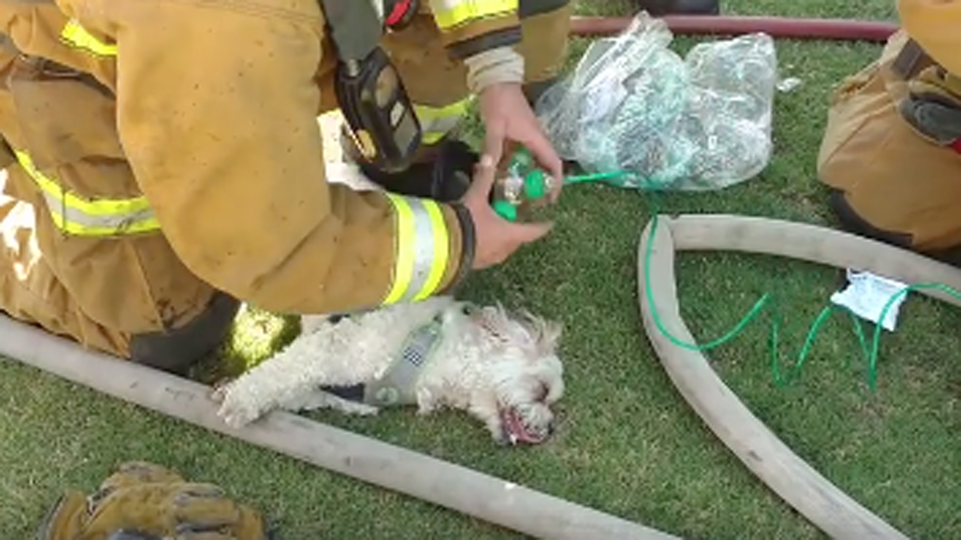 firefighters as seen in this still from a video posted by the Bakersfield Fire Department on its Facebook page on July 19, 2017.