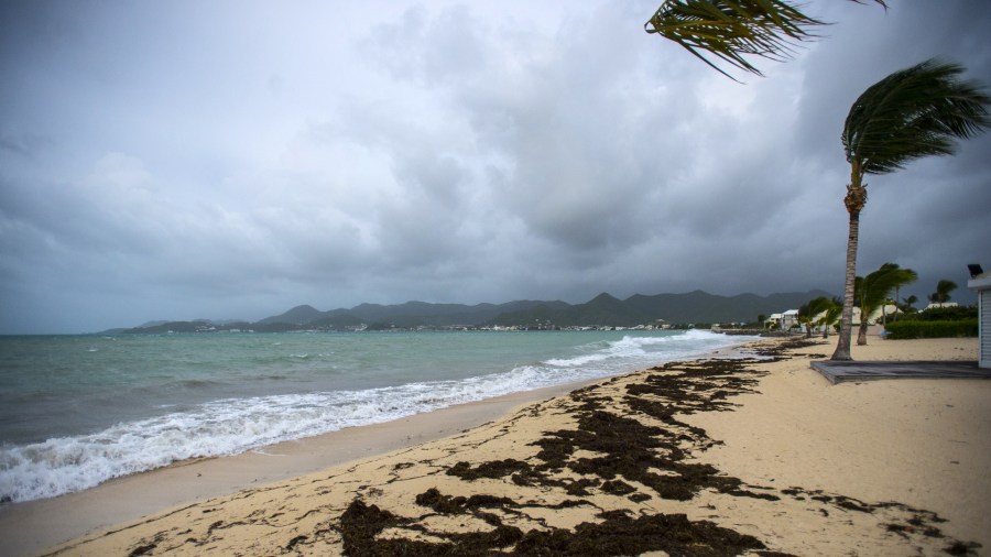 A picture taken on September 5, 2017 shows a view of the Baie Nettle beach in Marigot, with the wind blowing ahead of the arrival of Hurricane Irma. (Credit: LIONEL CHAMOISEAU/AFP/Getty Images)