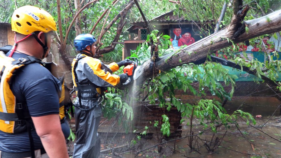 Search and rescue crew members clears a fallen tree over a road during a search mission as hurricane Irma hits Puerto Rico in Fajardo on Sept. 6, 2017. (Credit: RICARDO ARDUENGO/AFP/Getty Images)