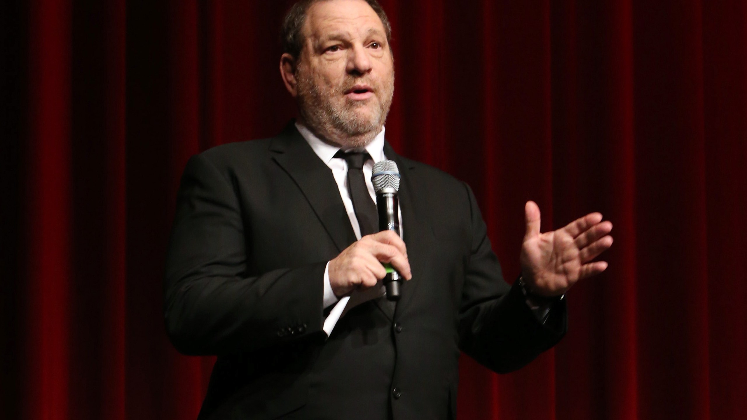 Producer Harvey Weinstein speaks at DGA Theater on Feb. 21, 2013, in Los Angeles. (Credit: Alexandra Wyman/Getty Images For TWC)