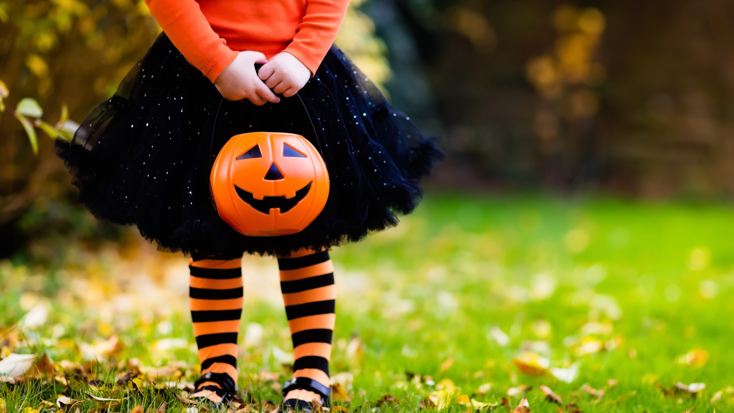 A child is seen having fun at a Halloween trick-or-treat. (iStock / Getty Images)