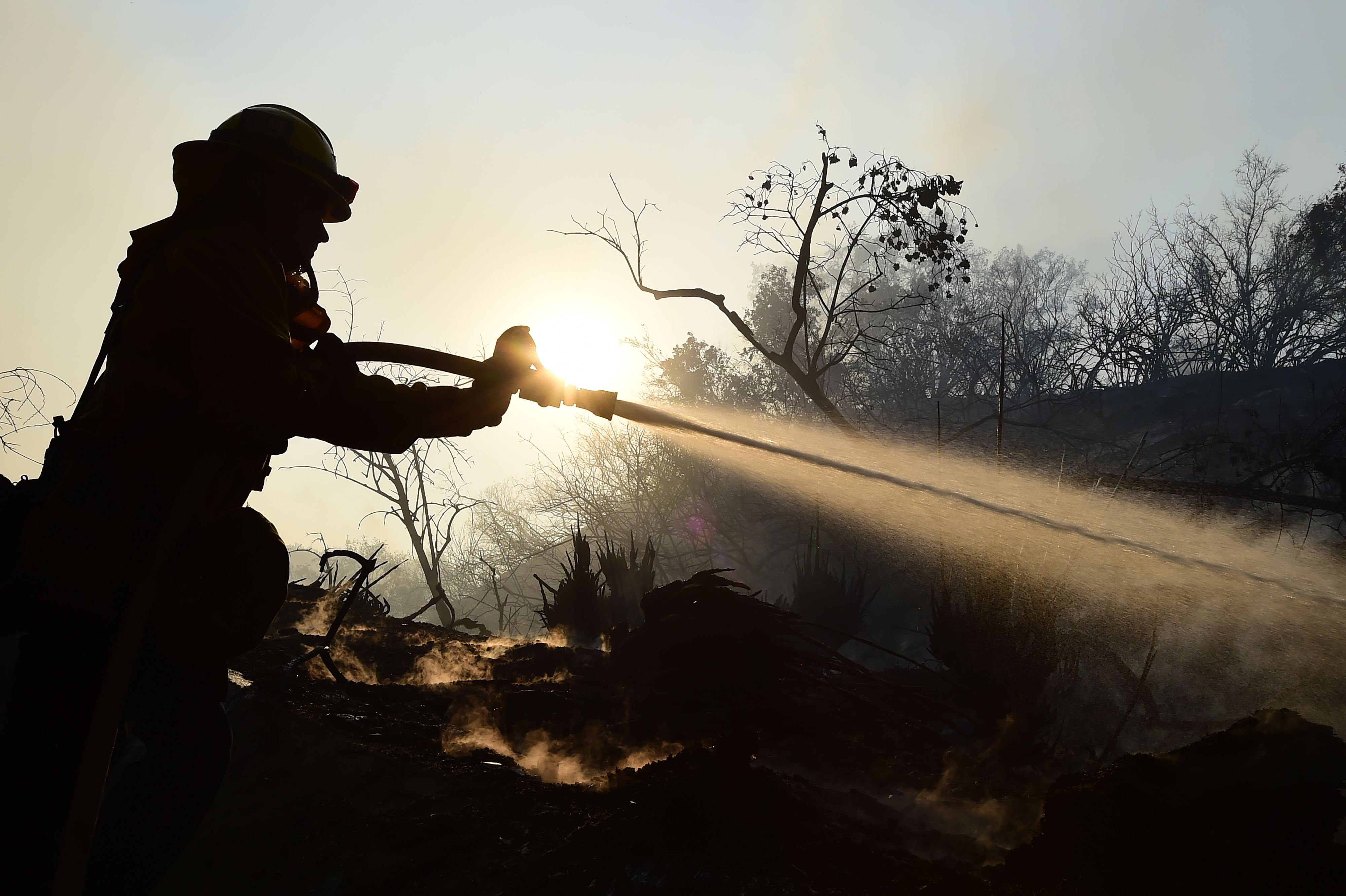 LAFD Firefighter Allen Janzen puts down smoldering embers in the Bel-Air to protect home against the Skirball Fire, Dec. 6, 2017. (Credit: ROBYN BECK/AFP/Getty Images)