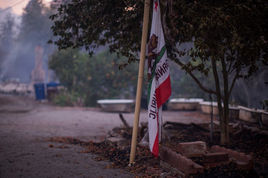 A California state flag is seen at a farm that was heavily damaged by the Thomas Fire on Dec. 10, 2017 near Carpinteria, California. (Credit: David McNew/Getty Images)