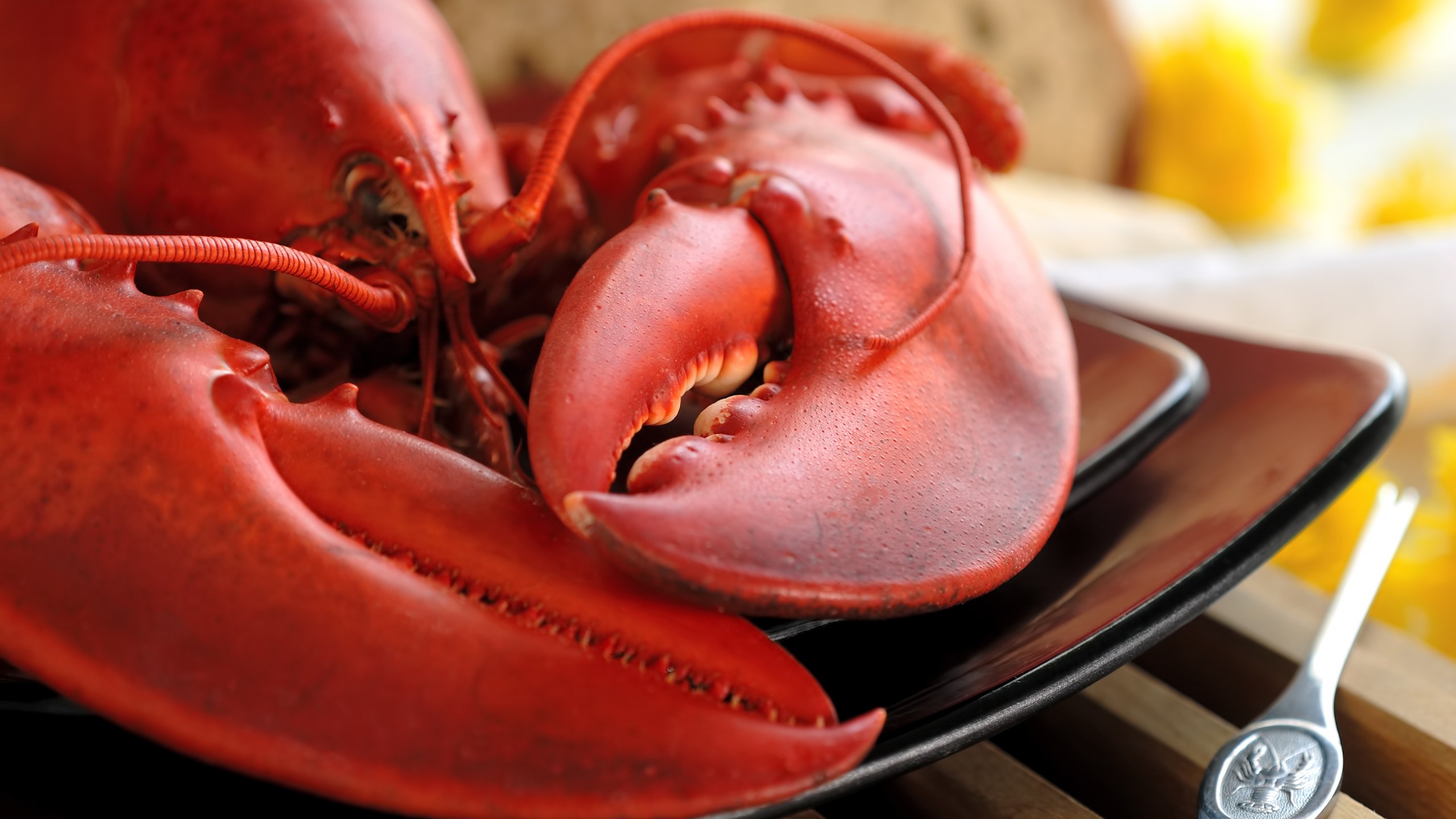 A boiled lobster is seen in this file photo. (Credit: iStock/Getty Images Plus)