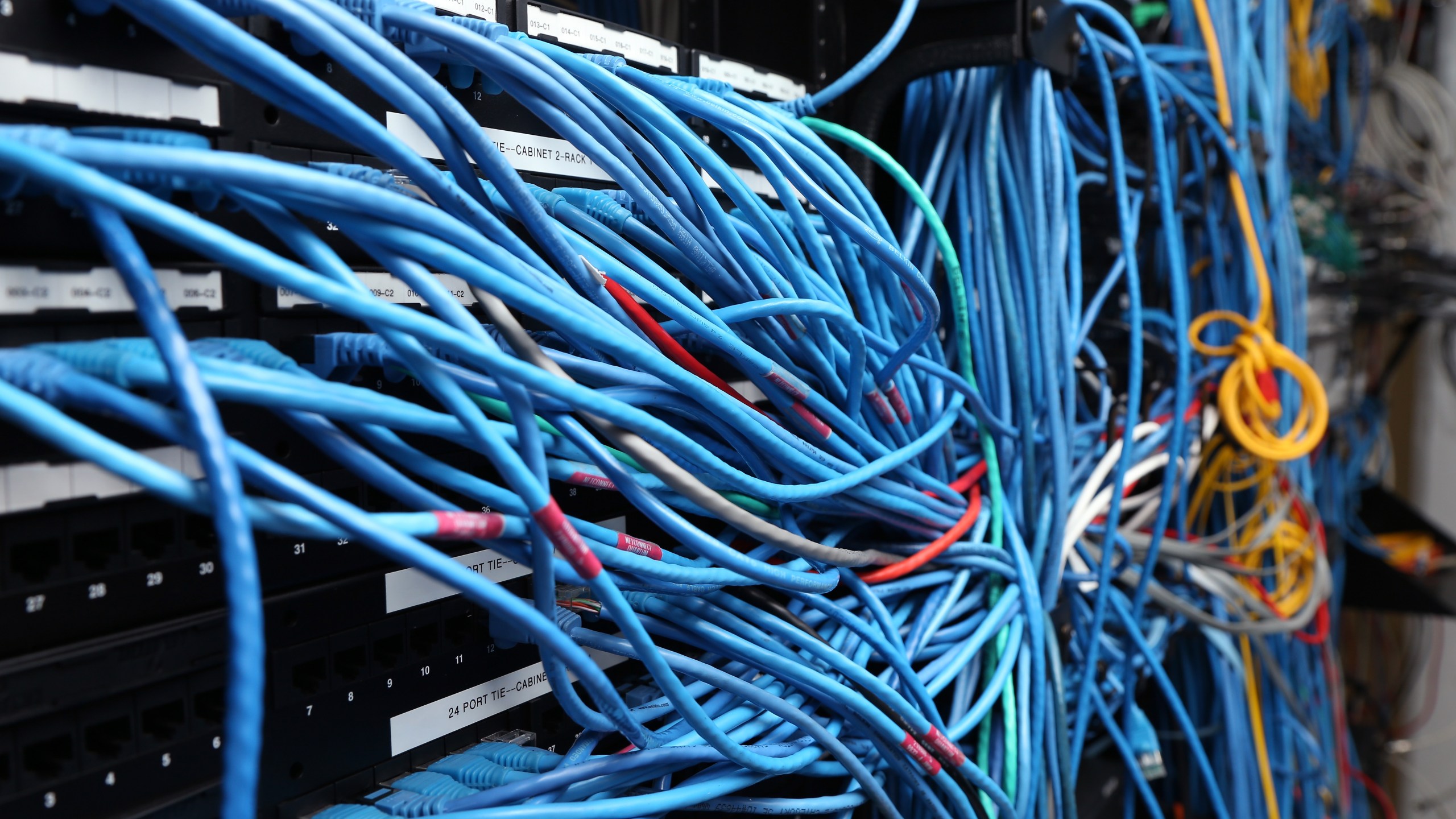 Network cables are plugged in a server room on Nov. 10, 2014, in New York City. (Credit: Michael Bocchieri / Getty Images)