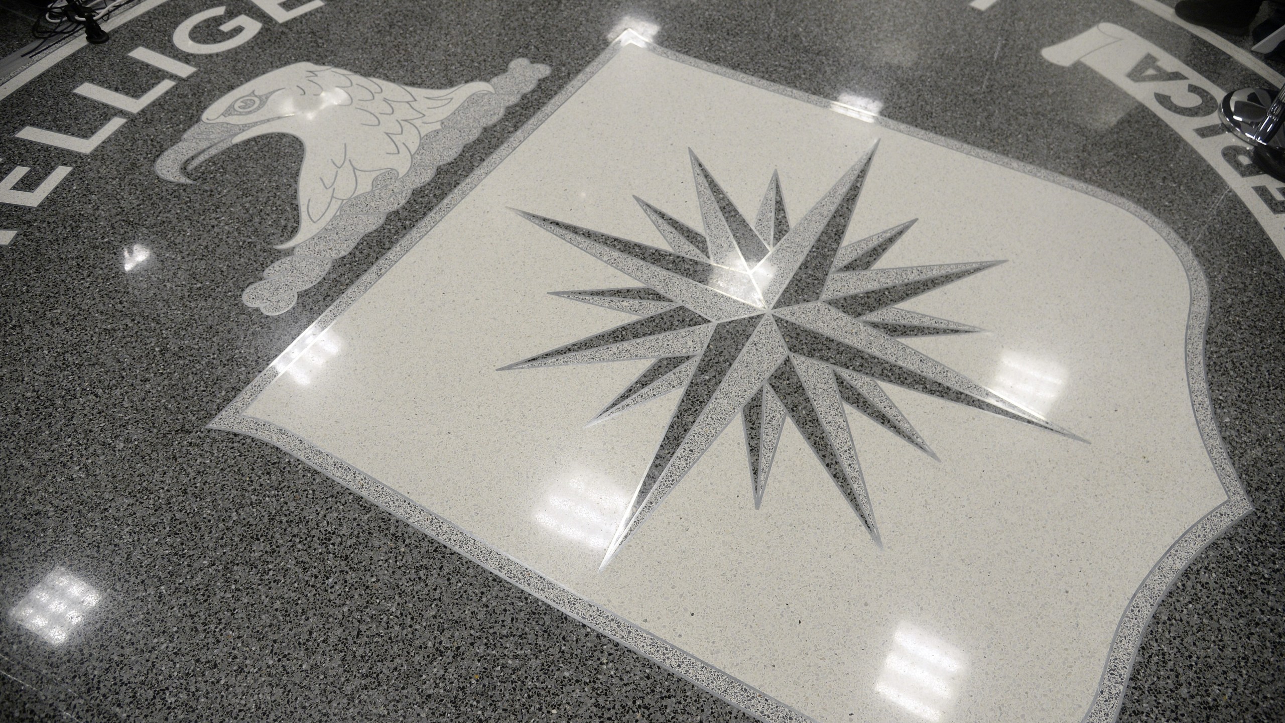 The logo of the CIA is seen at the CIA headquarters on Jan. 21, 2017 in Langley, Virginia . (Credit: Olivier Doulier - Pool/Getty Images)