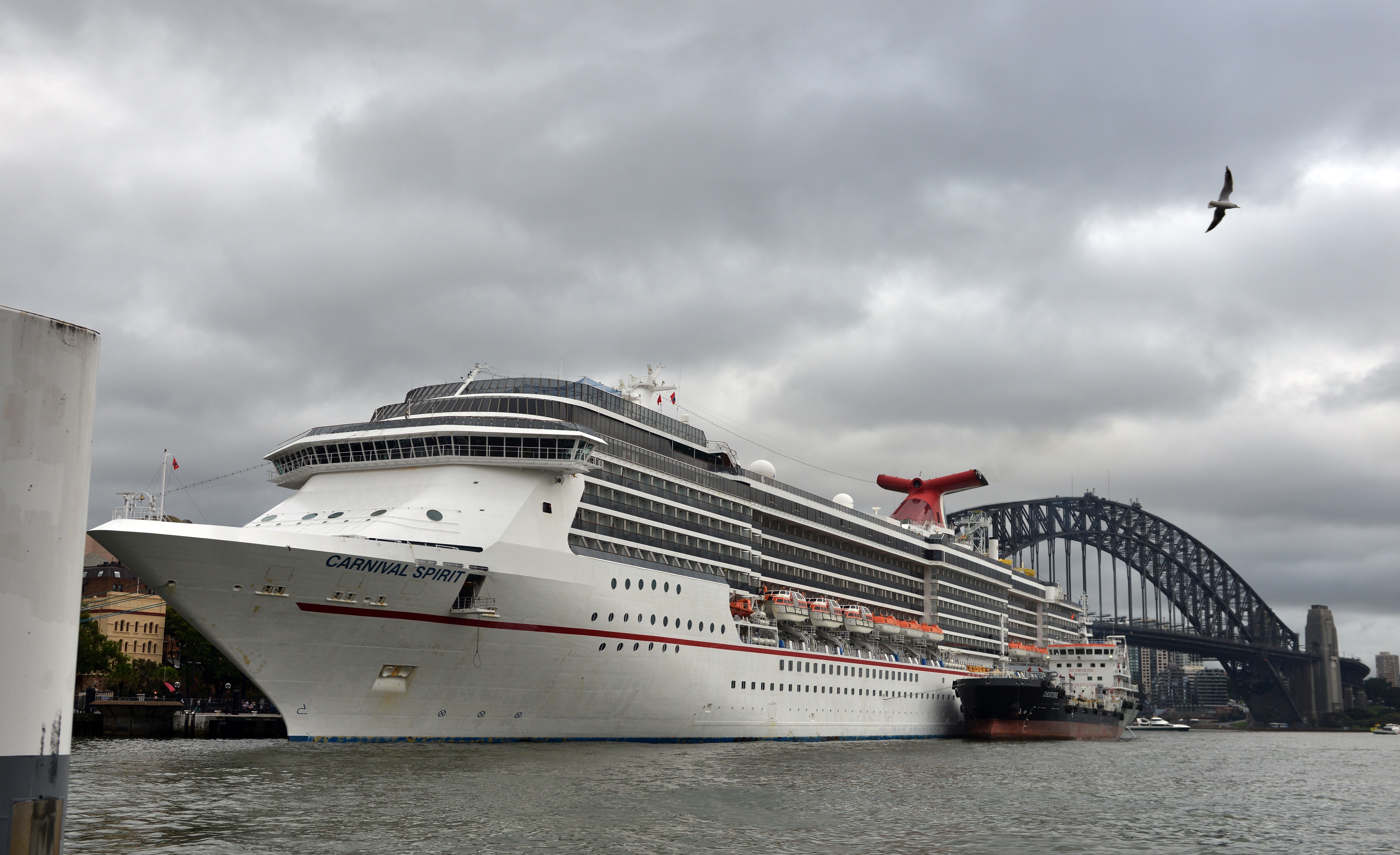 A Carnival cruise shift is seen docked in Sydney Harbour in this file photo. (Credit: Peter Parks/AFP/Getty Images)