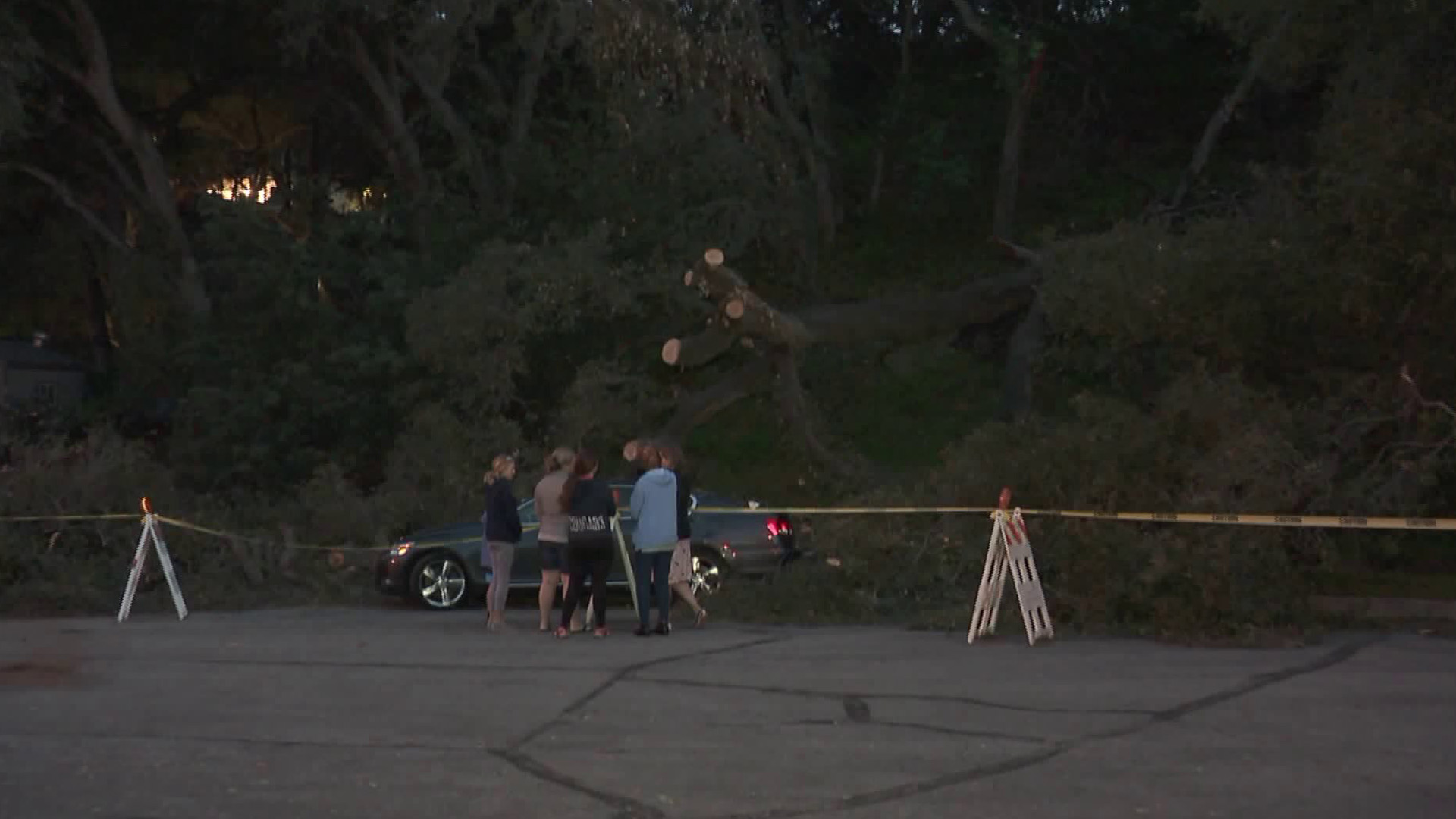 A tree is seen in Glendale on March 26, 2018, a day after it toppled over and struck a pedestrian. (Credit: KTLA)