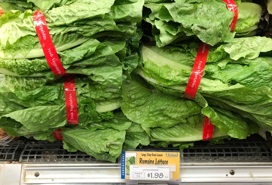 Romaine lettuce is displayed on a shelf at a supermarket in San Rafael on April 23, 2018. (Credit: Justin Sullivan / Getty Images)