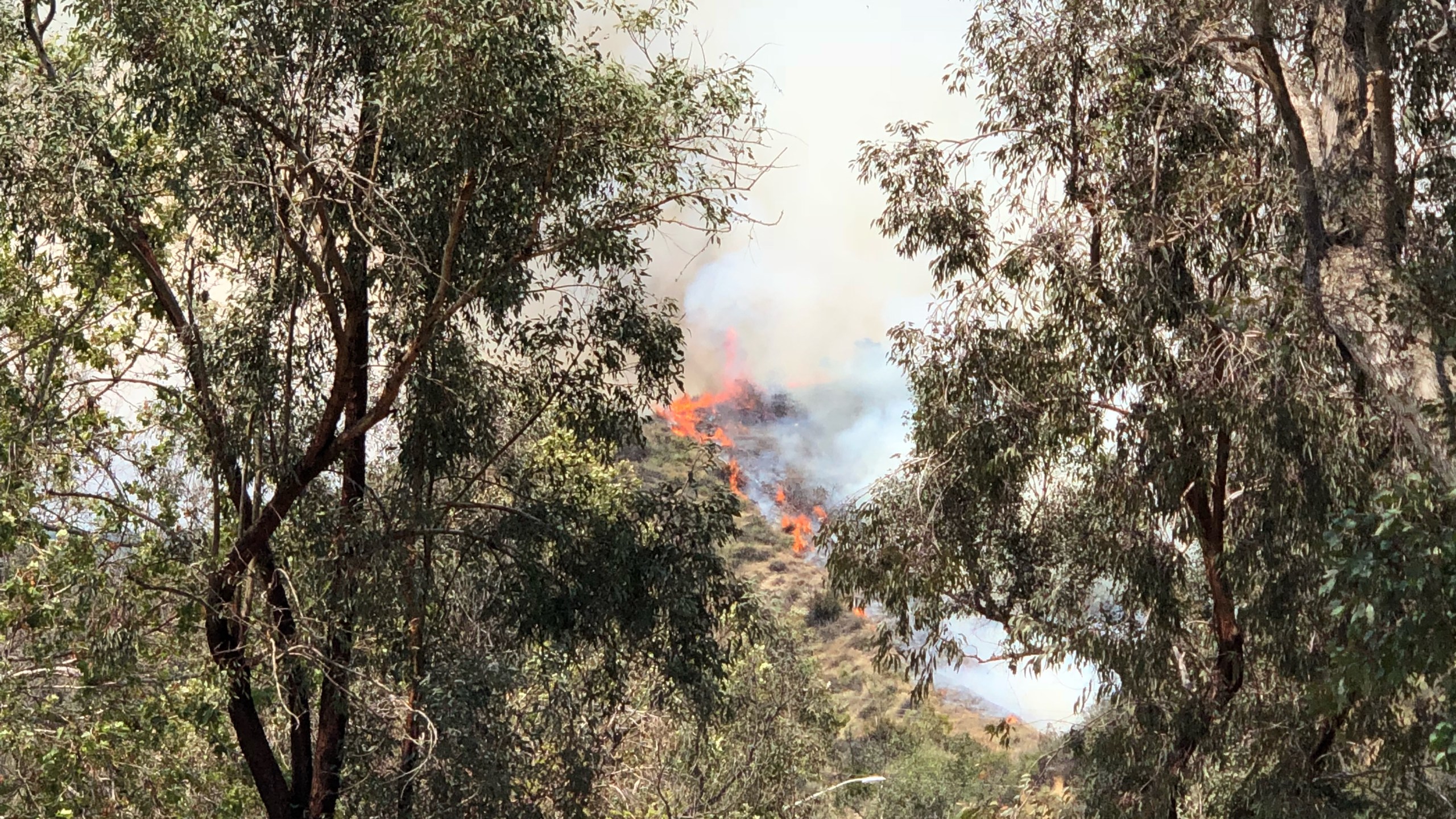 A brush fire burns at the Verdugo Mountains near Burbank on May 25, 2018. (Credit: Giovanni Moujaes/KTLA)