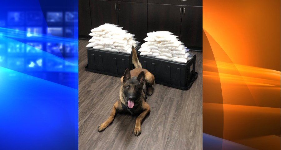 Rye, a K9 cop at the West Covina Police Department, is shown in a photo released by the police department on May 20, 2018.