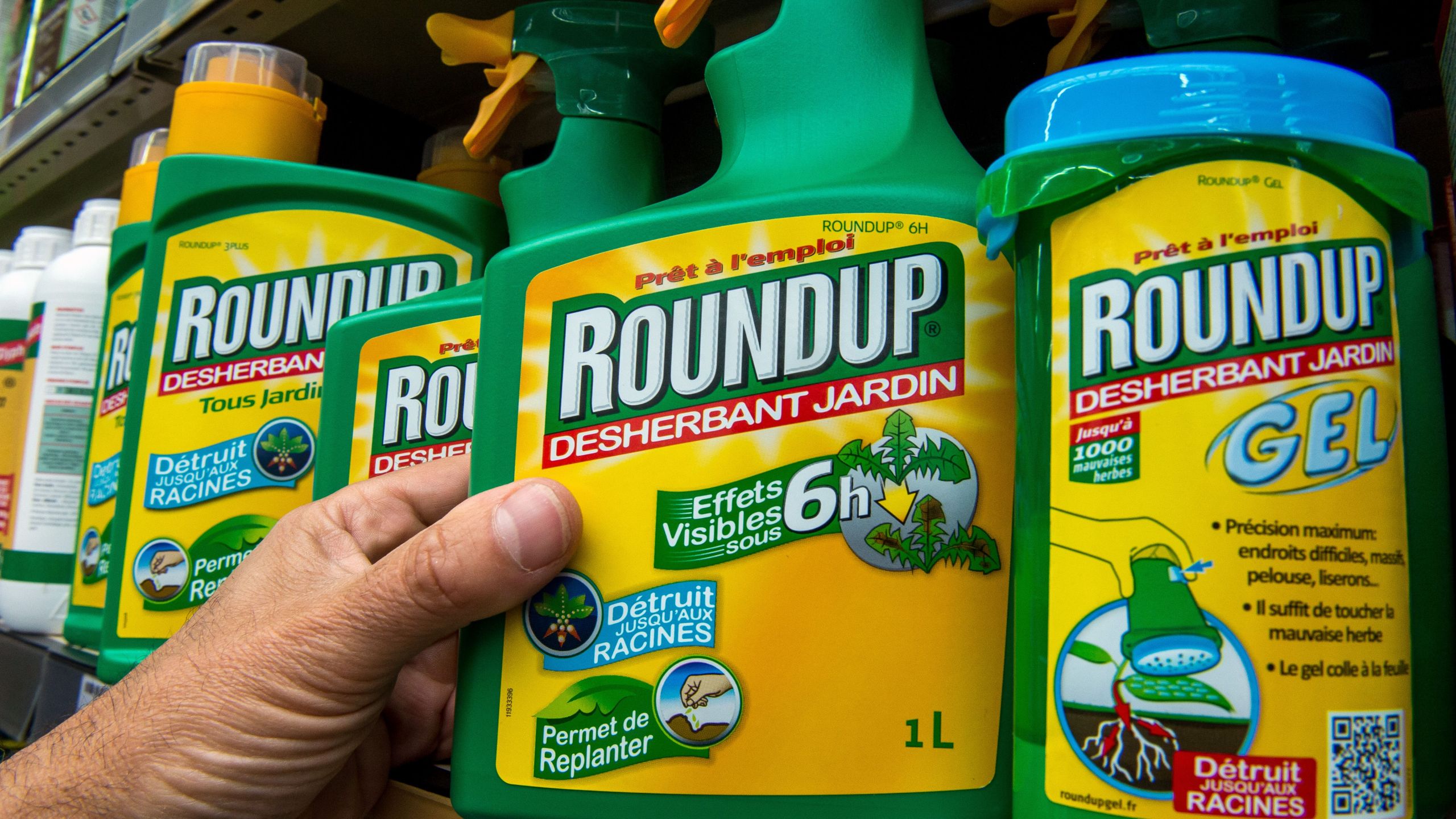 This picture taken on June 15, 2015 shows a bottle of Monsanto's 'Roundup' pesticide in a gardening store in Lille. (Credit: Philippe Huguen/AFP/Getty Images)