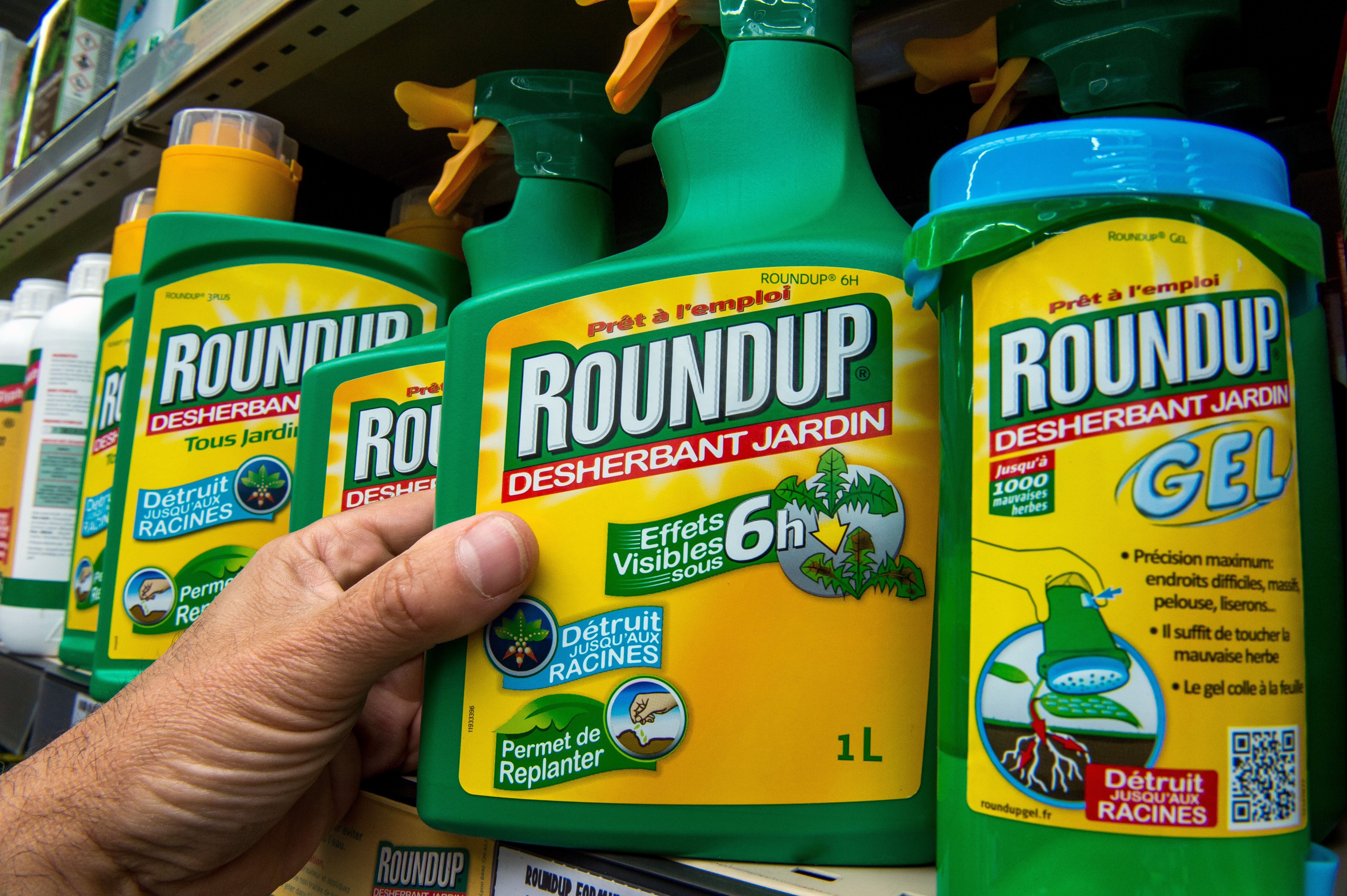 This picture taken on June 15, 2015 shows a bottle of Monsanto's 'Roundup' pesticide in a gardening store in Lille. (Credit: Philippe Huguen/AFP/Getty Images)