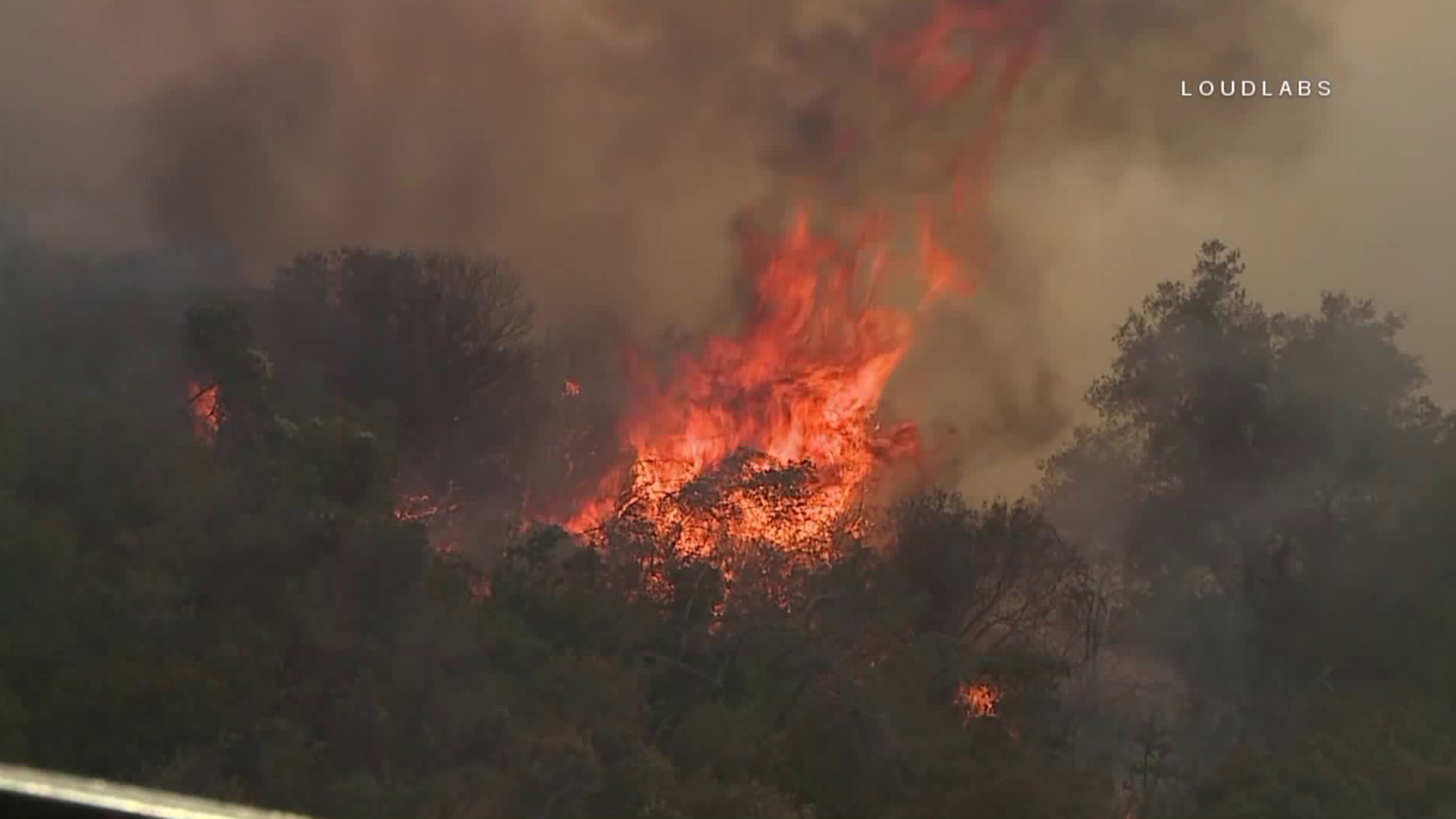 The South Fire burns vegetation in the Newhall area on June 9, 2018. (Credit: Loudlabs)