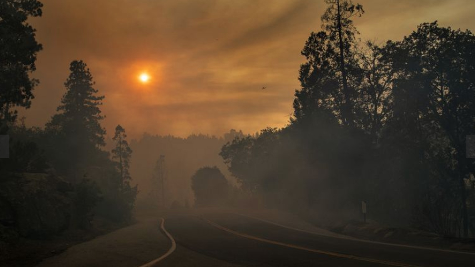 A smoky haze fills the landscape in Idyllwild on July 25, 2018. (Credit: Gina Ferazzi / Los Angeles Times)