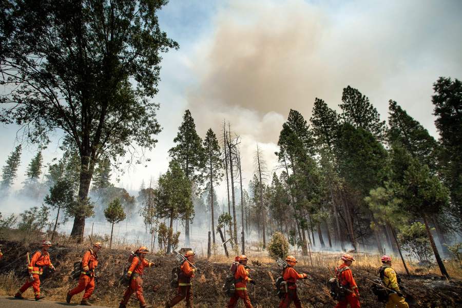 Inmate firefighters battle the Ferguson Fire in Jerseydale, California on July 22, 2018. (Credit: NOAH BERGER/AFP/Getty Images)