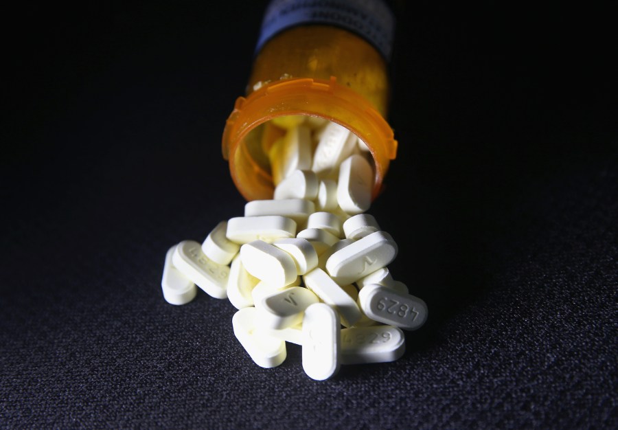 Oxycodone pain pills are on display on March 23, 2016 in Norwich, Conn. (Credit: John Moore/Getty Images)