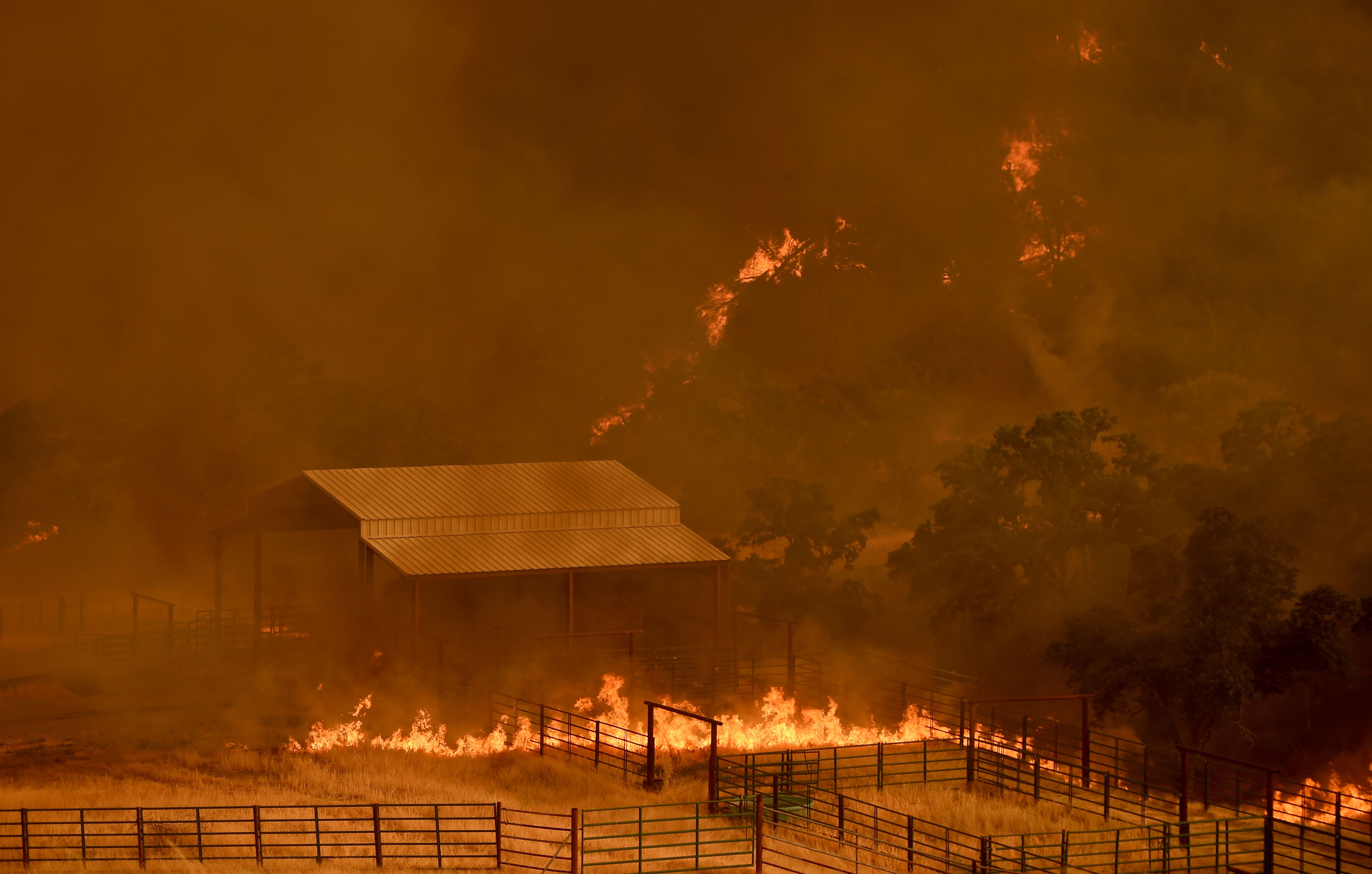 Flames from the County Fire move through a property in Guinda, California, on July 1, 2018. (Credit: JOSH EDELSON/AFP/Getty Images)