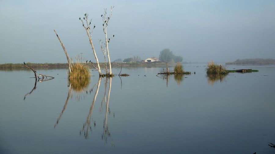 The Middle River in the Sacramento-San Joaquin Delta is seen in this undated photo. (Credit: Katie Falkenberg / Los Angeles Times)