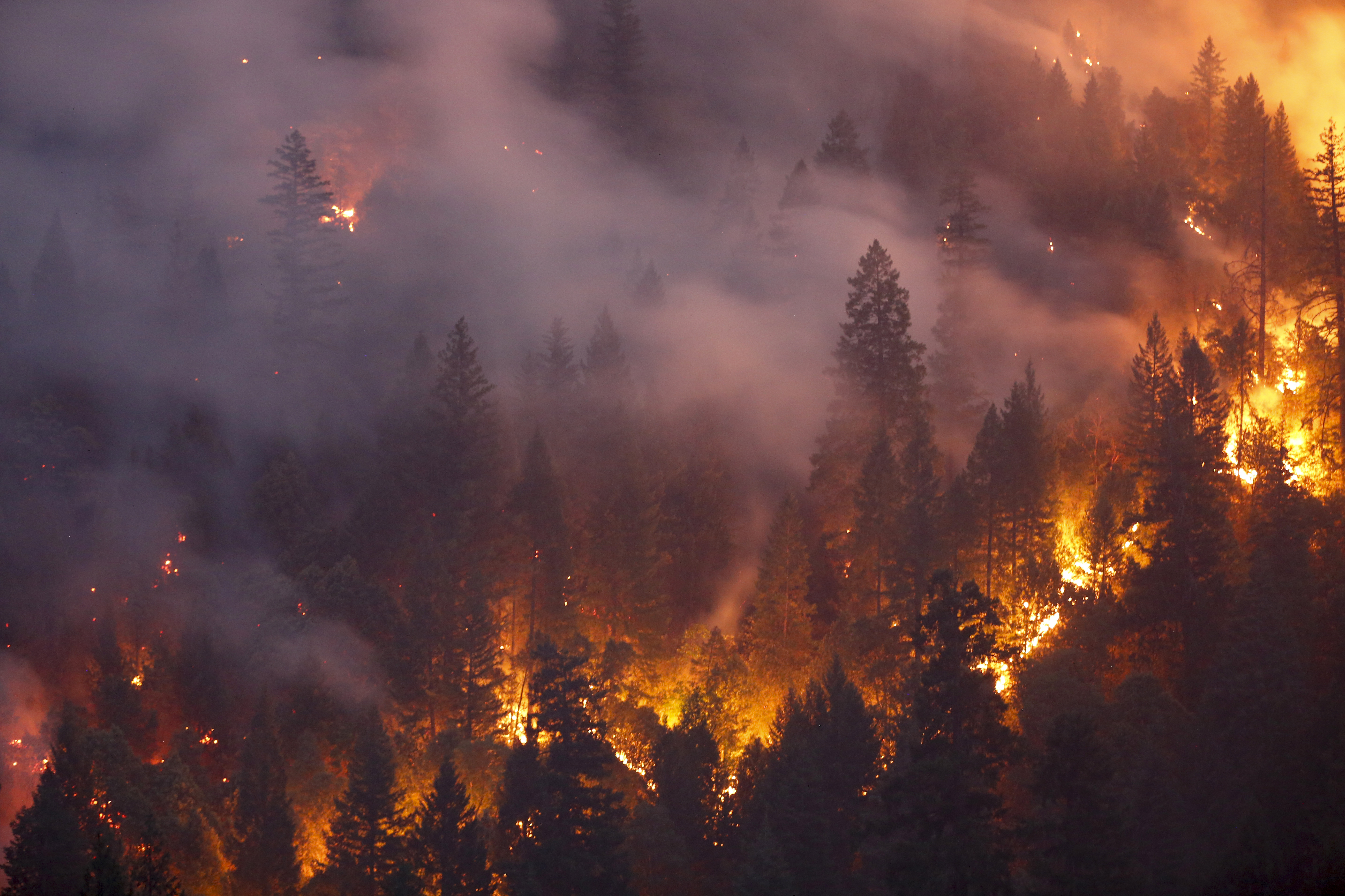 Forest burns in the Carr Fire on July 30, 2018 west of Redding. (Terray Sylvester/Getty Images)