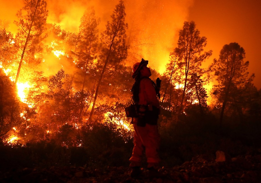 A firefighter monitors a back fire while battling the Medocino Complex Fire on August 7, 2018 near Lodoga. (Credit: Justin Sullivan/Getty Images)