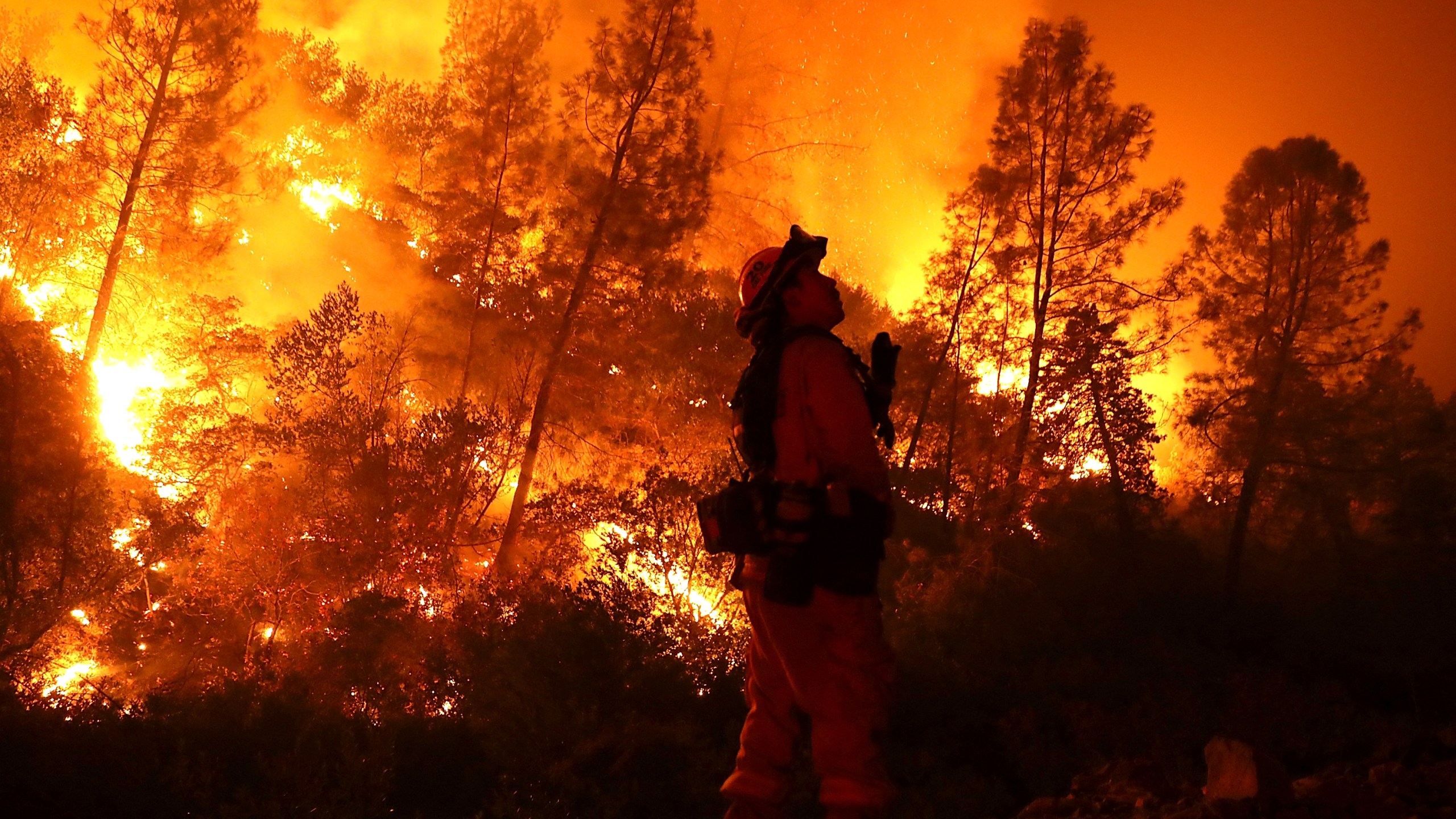 A firefighter monitors a back fire while battling the Medocino Complex Fire on Aug. 7, 2018, near Lodoga. (Credit: Justin Sullivan / Getty Images)