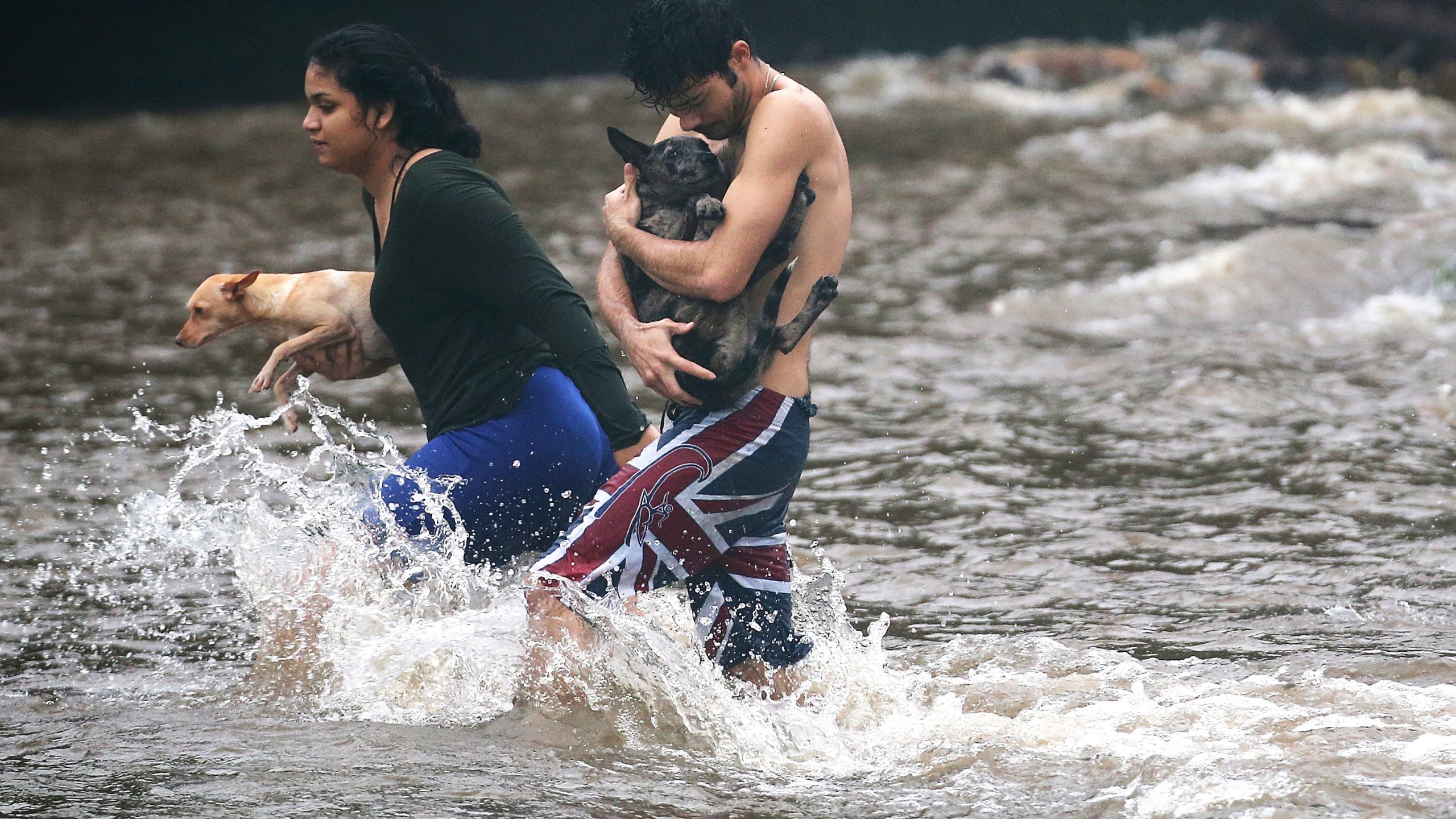 Hurricane Lane has brought more than a foot of rainfall to some parts of the Big Island which is under a flash flood warning. (Credit: Mario Tama/Getty Images)