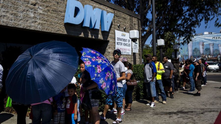 A line of people stretches around a California Department of Motor Vehicles building in South Los Angeles on Aug. 7, 2018. (Credit: Kent Nishimura / Los Angeles Times)