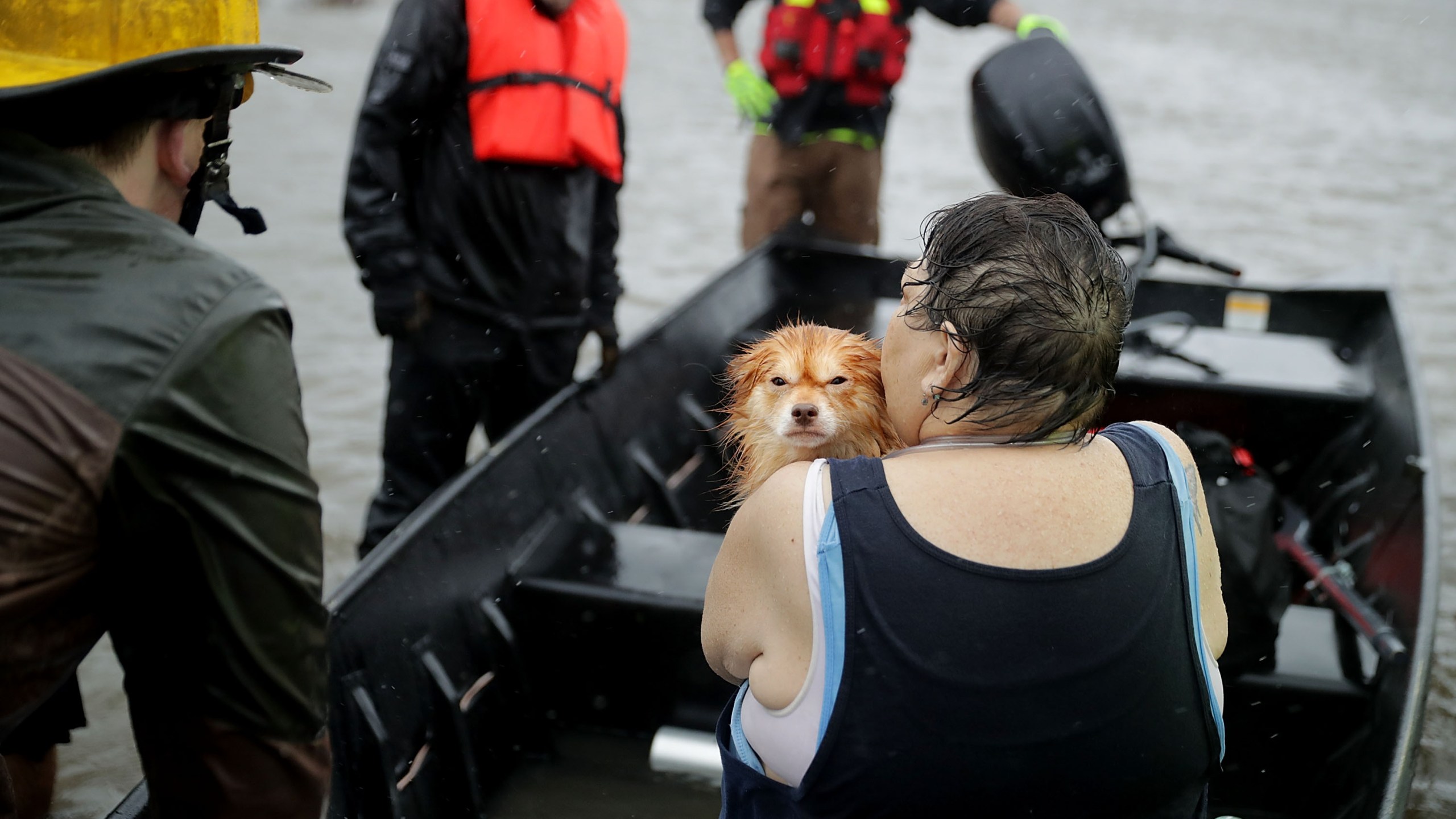 Rescue workers from Township No. 7 Fire Department and volunteers from the Civilian Crisis Response Team use a boat to rescue a woman and her dog from their flooded home during Hurricane Florence September 14, 2018 in James City, North Carolina. (Credit: Chip Somodevilla/Getty Images)