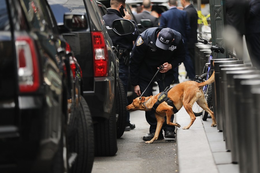 A police bomb-sniffing dog is deployed outside of the Time Warner Center after an explosive device was found Oct. 24, 2018, in New York City. CNN's office at the center was evacuated. (Credit: Spencer Platt/Getty Images)