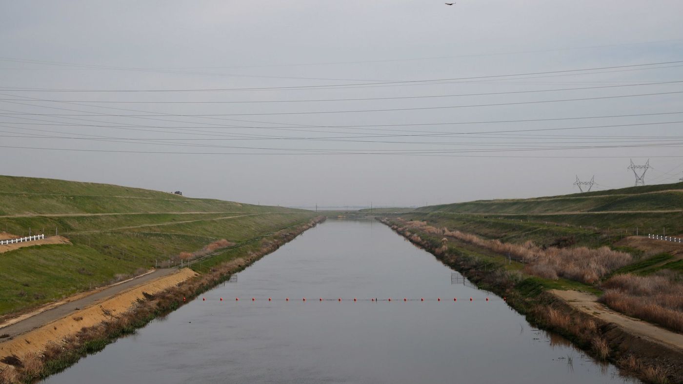 The intake channel at the C.W. "Bill" Jones Pumping Plant in Tracy. The federal plant sends water south to San Joaquin Valley farmers. (Credit: Falkenberg/Los Angeles Times)