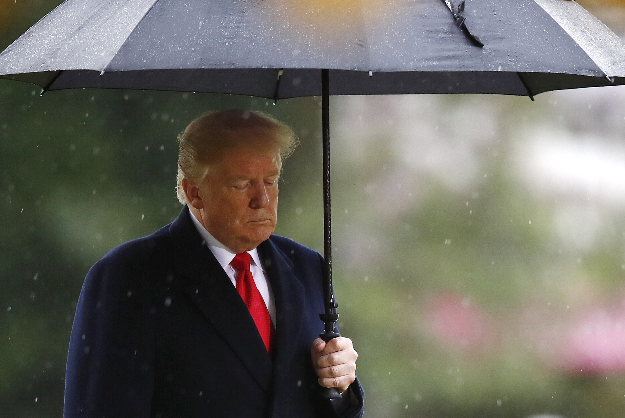 Donald Trump visits the American Cemetery of Suresnes, outside Paris, on Nov. 11, 2018. (Credit: Christian Hartmann/AFP/Getty Images)