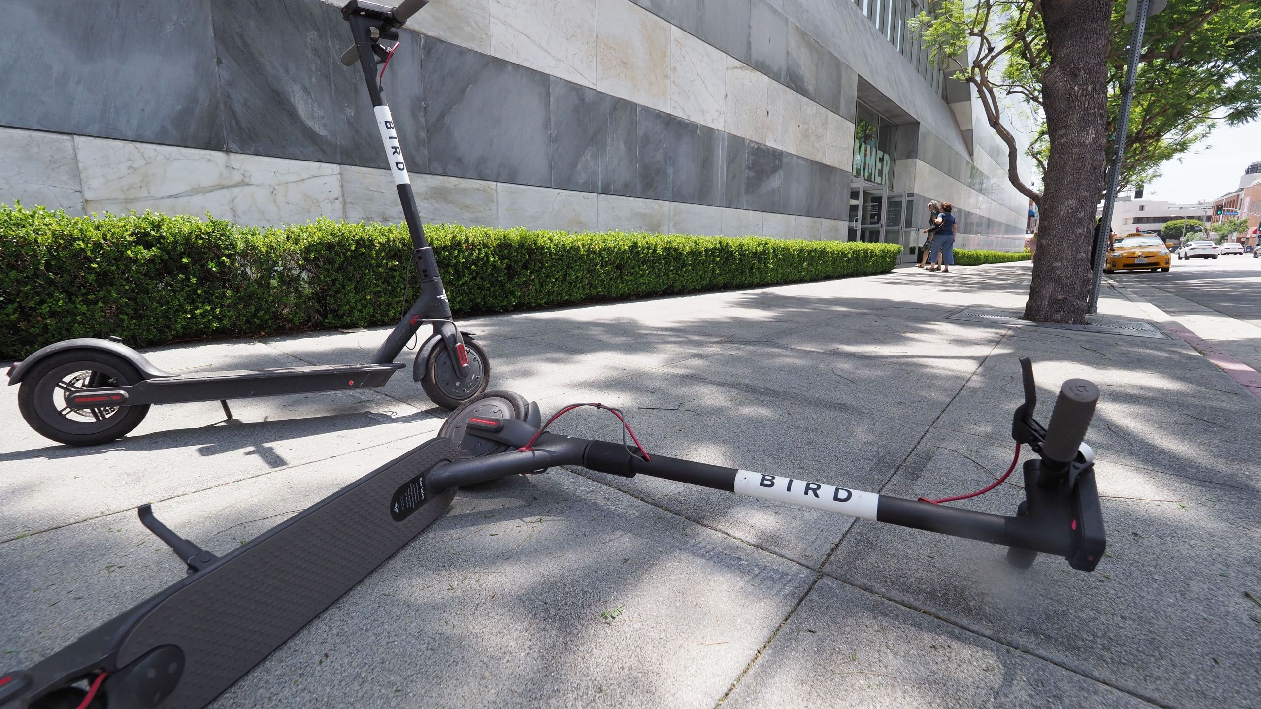 A pedestrian walks past two Bird dockless scooters, one laying on its side, in the middle of a sidewalk in Westwood on July 10, 2018. (Credit: ROBYN BECK/AFP/Getty Images)