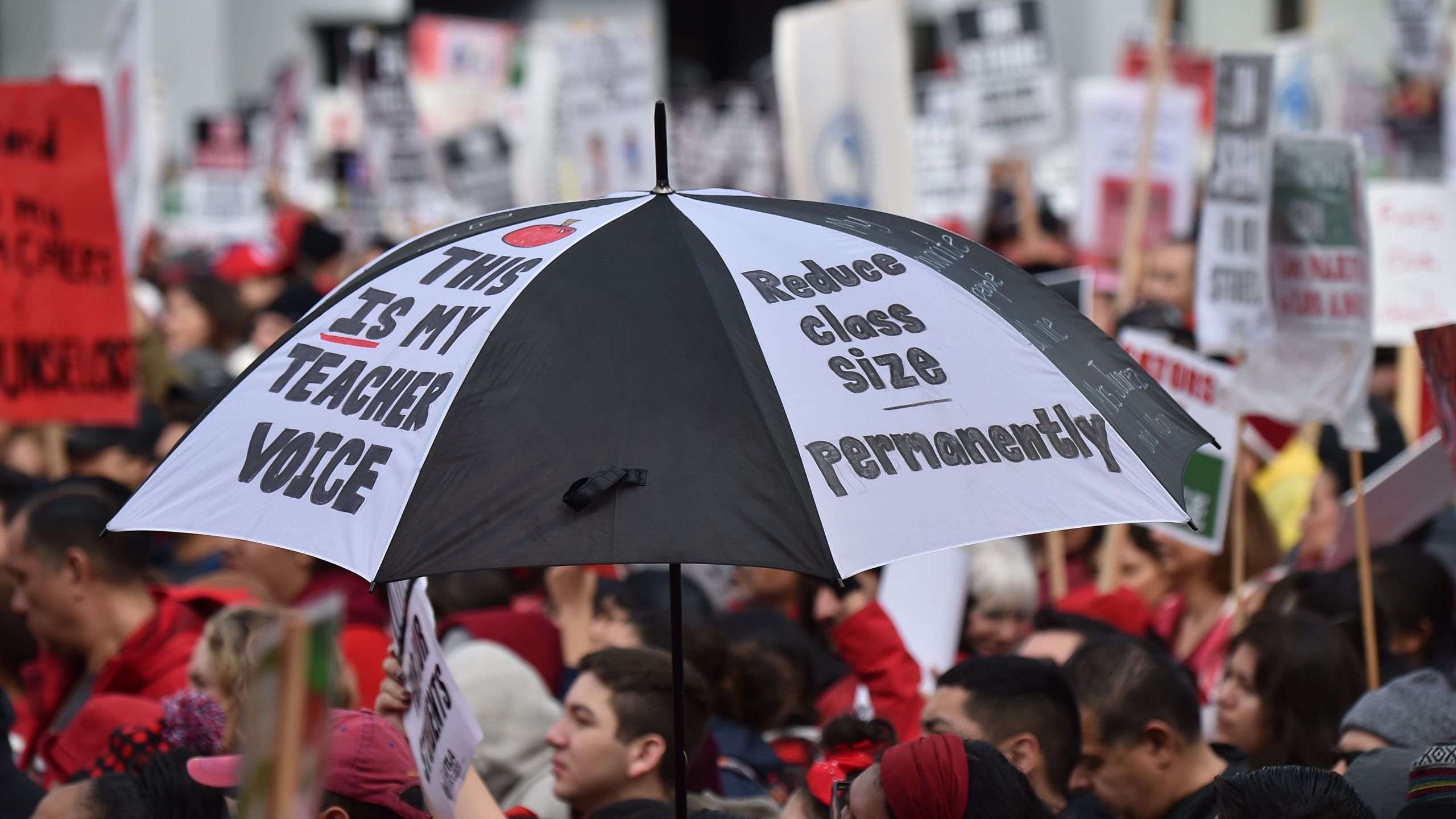 Striking teachers and their supporters rally in downtown Los Angeles on Jan. 15, 2019. (Credit: ROBYN BECK/AFP/Getty Images)