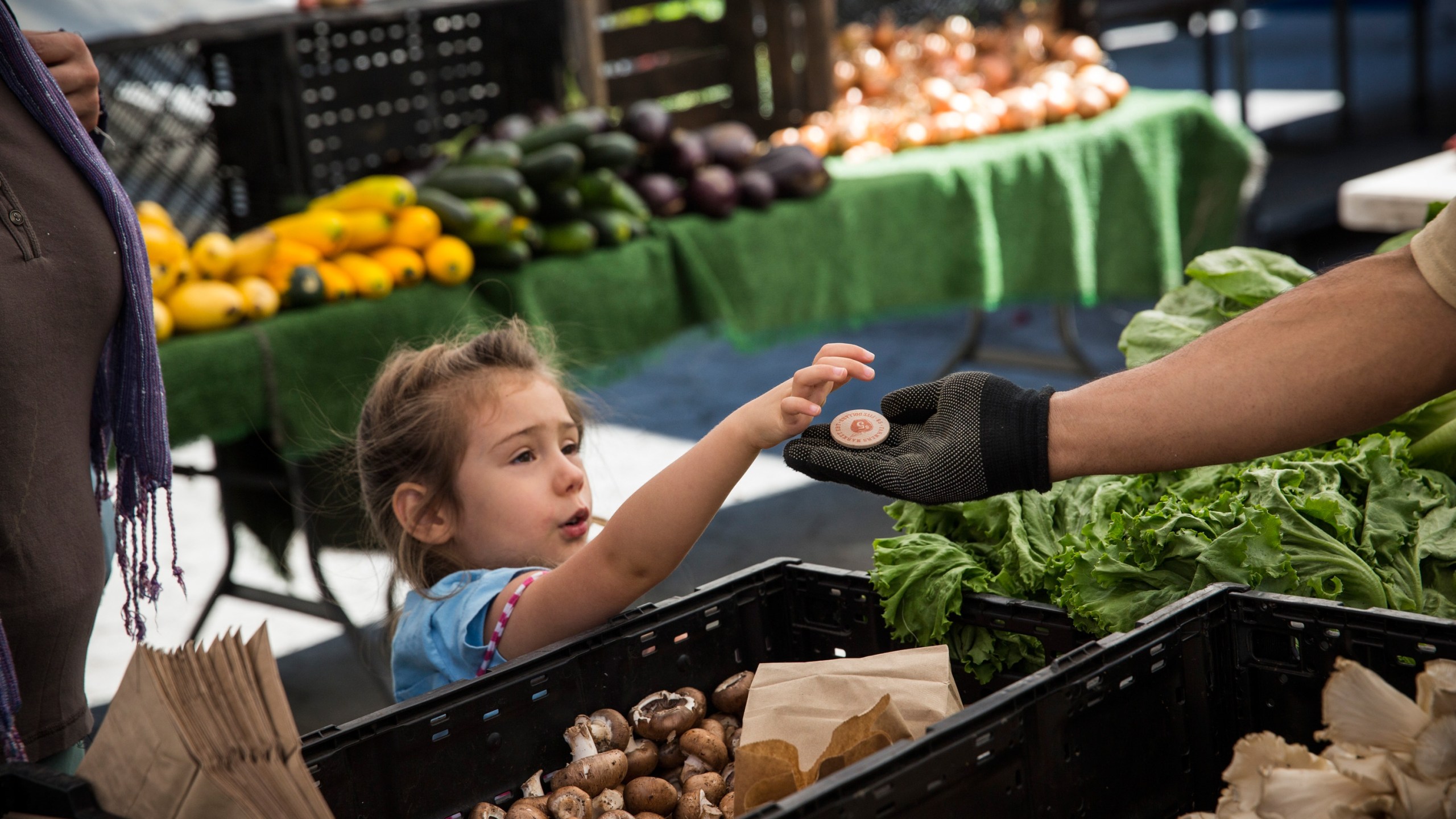 A girl pays for her mother's groceries using Electronic Benefits Transfer (EBT) tokens, more commonly known as Food Stamps, at the GrowNYC Greenmarket in Union Square on September 18, 2013 in New York City. (Credit: Andrew Burton/Getty Images)