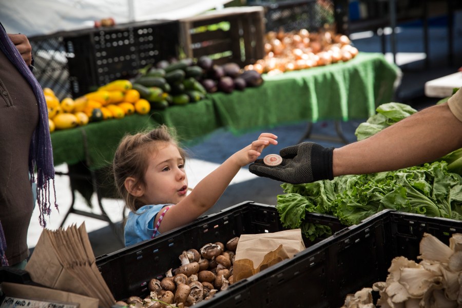 A girl pays for her mother's groceries using Electronic Benefits Transfer (EBT) tokens, more commonly known as Food Stamps, at the GrowNYC Greenmarket in Union Square on September 18, 2013 in New York City. (Credit: Andrew Burton/Getty Images)