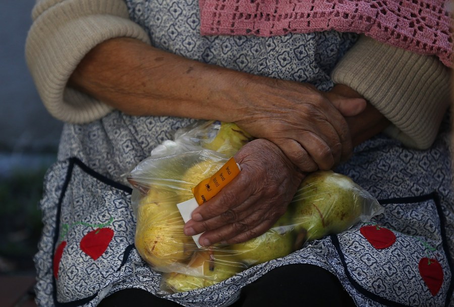 A woman holds a bag of pears as she waits in line to receive free food at the Richmond Emergency Food Bank on November 1, 2013 in Richmond, California. (Credit: Justin Sullivan/Getty Images)