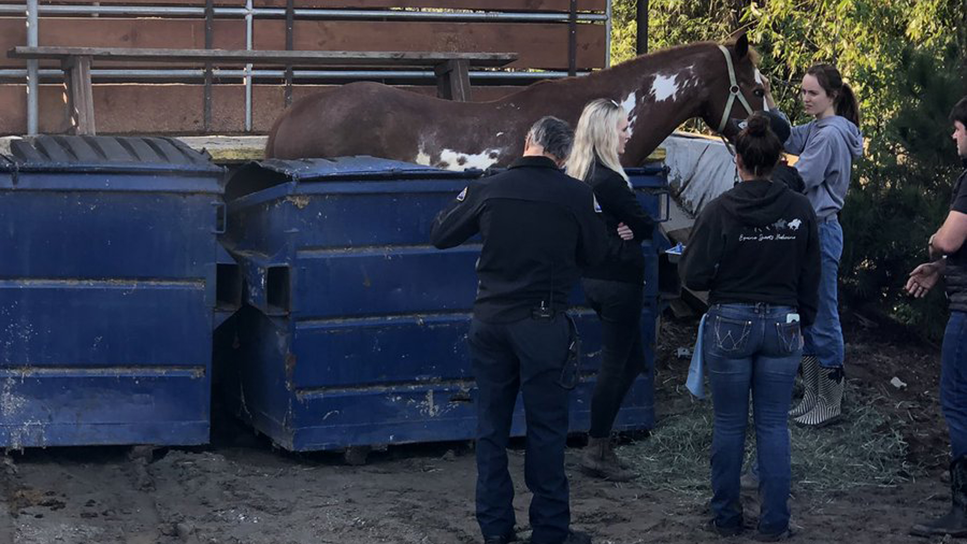 Authorities tend to a horse that became stuck in a dumpster in Huntington Beach on Jan. 18, 2019. (Credit: Huntington Beach Fire Department)