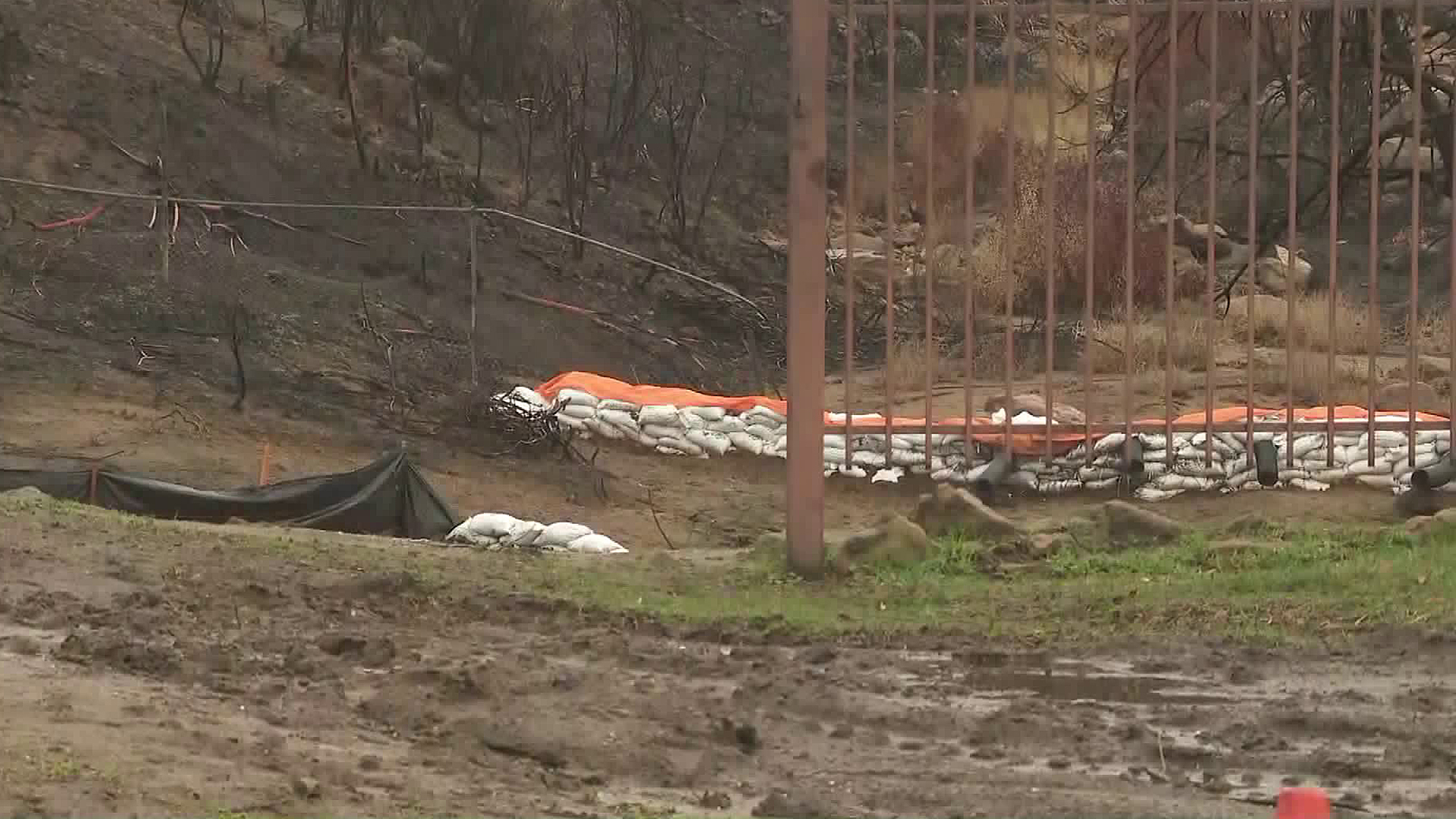 Erin Myers reports for the KTLA 5 Morning News on Jan. 16, 2019.