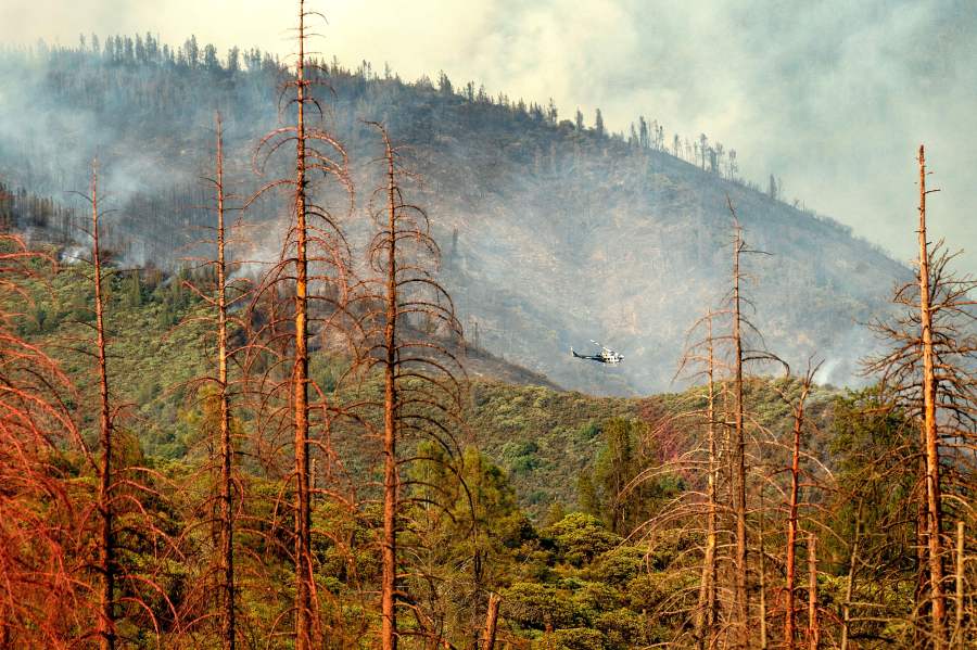 Dead trees line a clearing as a helicopter battling the Ferguson fire passes behind in the Stanislaus National Forest on July 22, 2018. (Credit: NOAH BERGER/AFP/Getty Images)