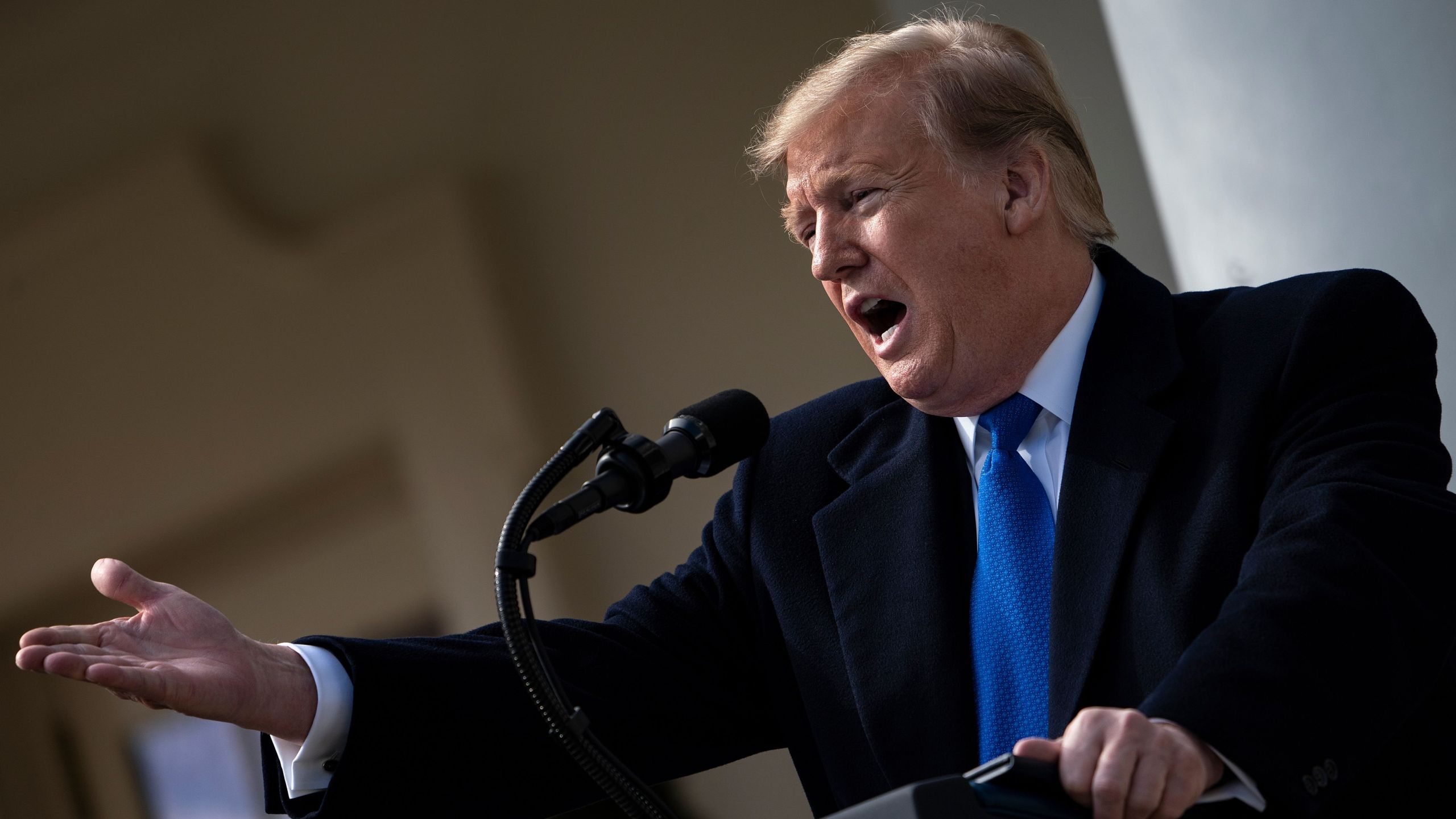 Donald Trump speaks about a state of emergency from the Rose Garden of the White House Feb. 15, 2019 in Washington, D.C. (Credit: BRENDAN SMIALOWSKI/AFP/Getty Images)