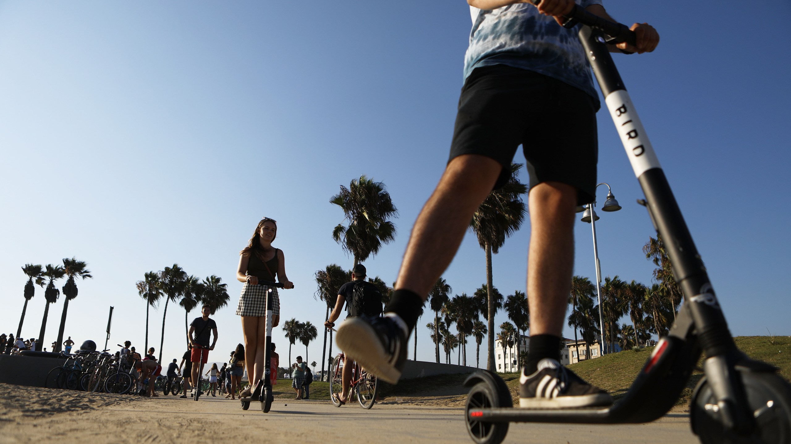 People ride Bird dockless electric scooters along Venice Beach on Aug. 13, 2018. (Credit: Mario Tama / Getty Images)