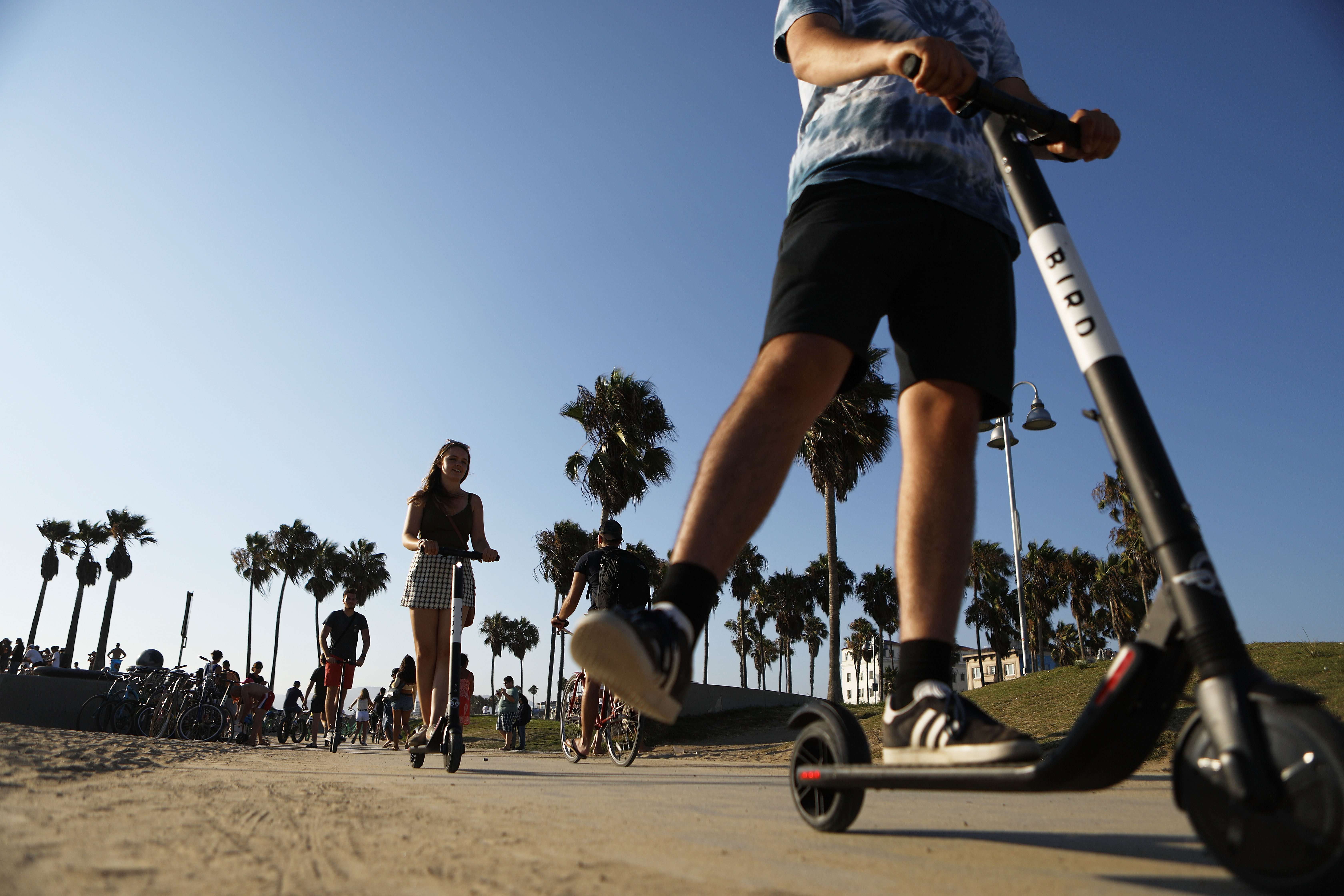 People ride Bird dockless electric scooters along Venice Beach on Aug. 13, 2018. (Credit: Mario Tama / Getty Images)