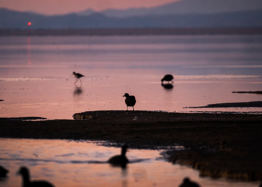 Salton Sea Colorado River