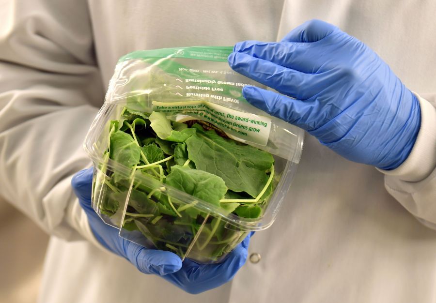 A package of baby kale is seen at a farm in Newark, New Jersey on Feb. 19, 2019. (Credit: Angela Weiss/AFP/Getty Images)