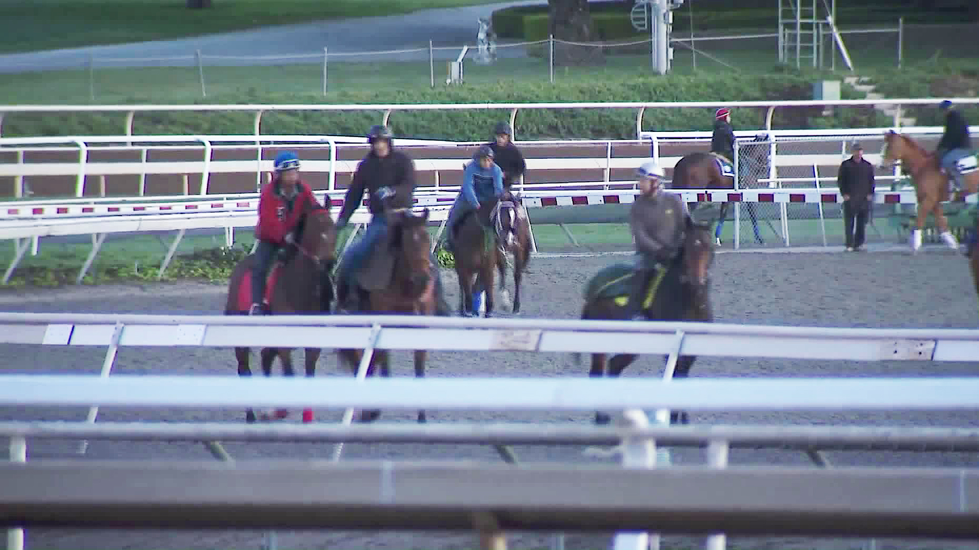 Training resumed at Santa Anita on March 8, 2019. (Credit: KTLA)